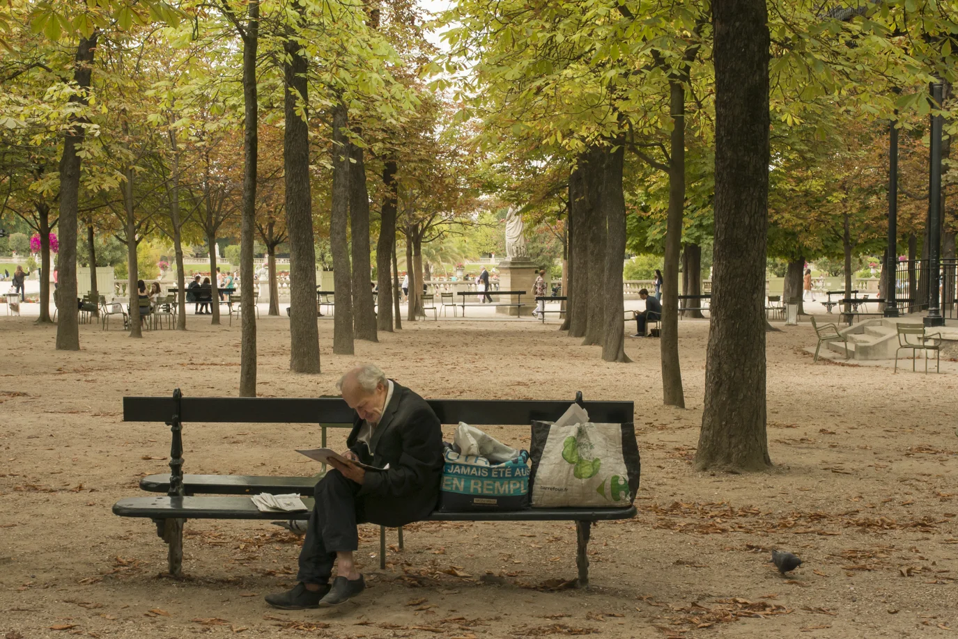 Reading for hours in the Jardin du Luxembourg
