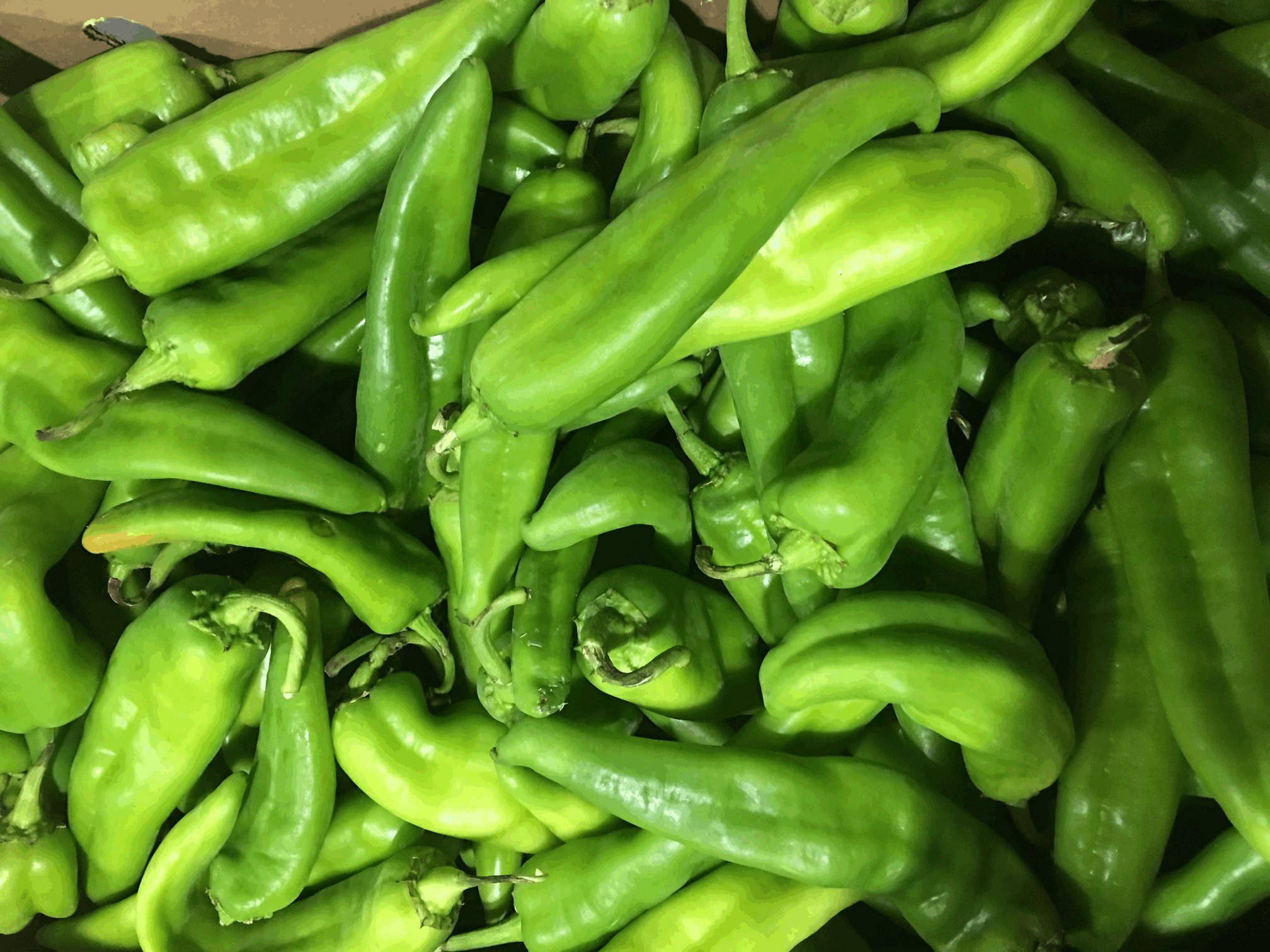 Hatch Chiles - HOT SPICE LEVEL