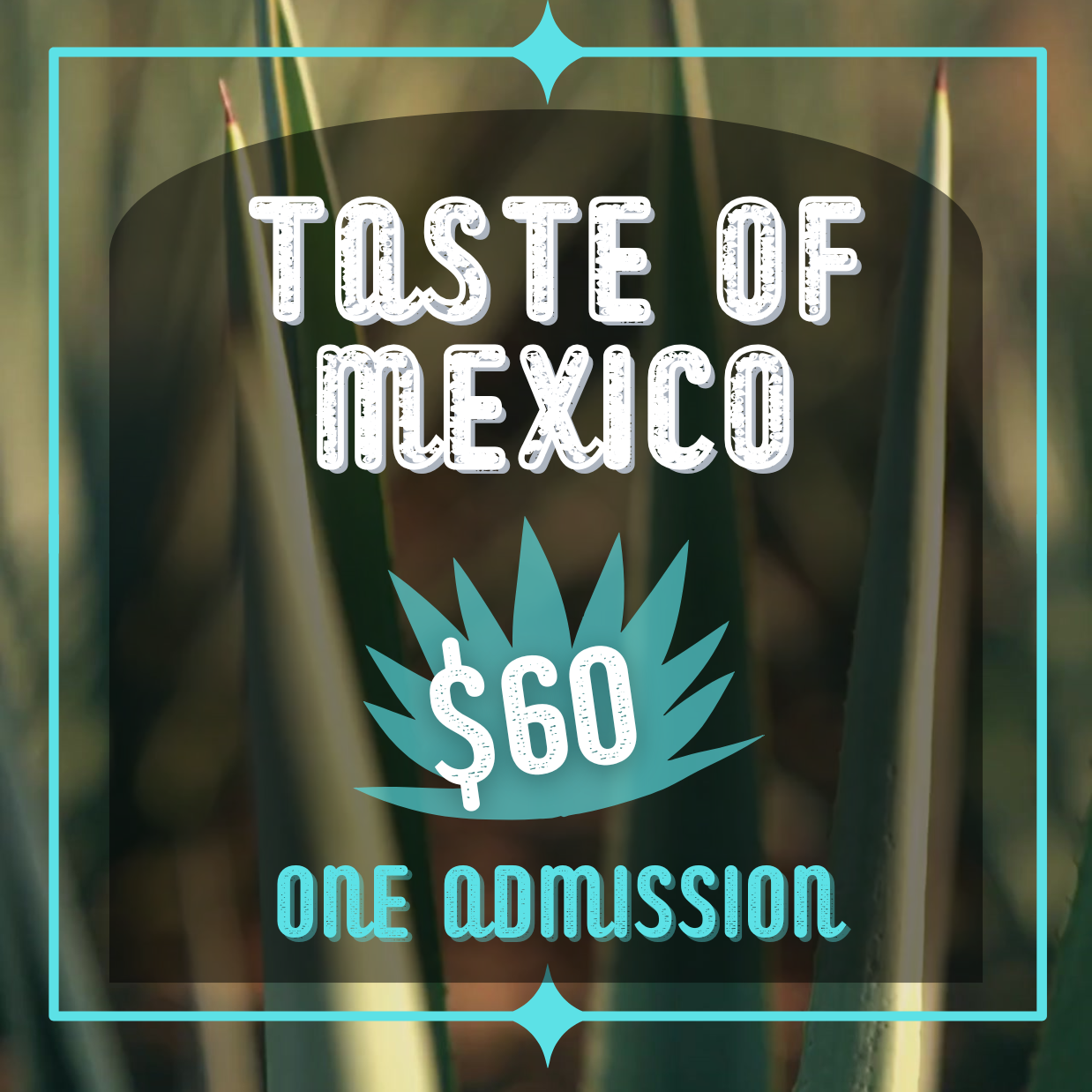 Taste of Mexico (Medium Banner (US) (Landscape))-4.png