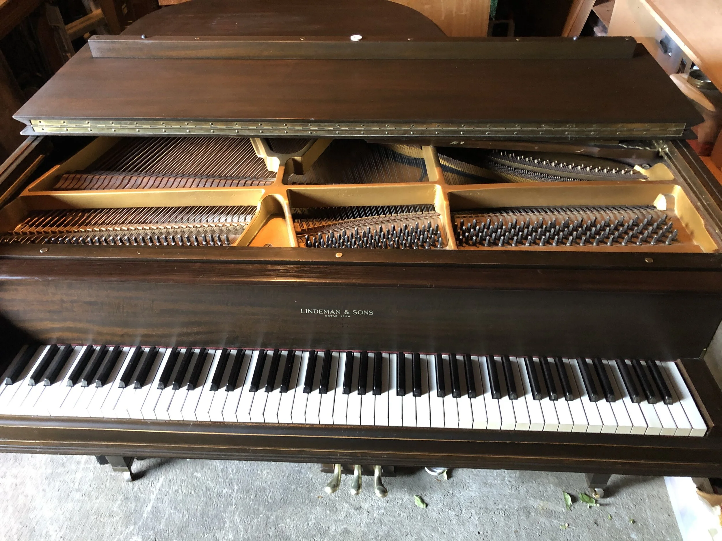This Lindemann & Sons got almost all of their ivories replaced or repaired, new felts, dampers, hammers and a full regulation this summer (2020).