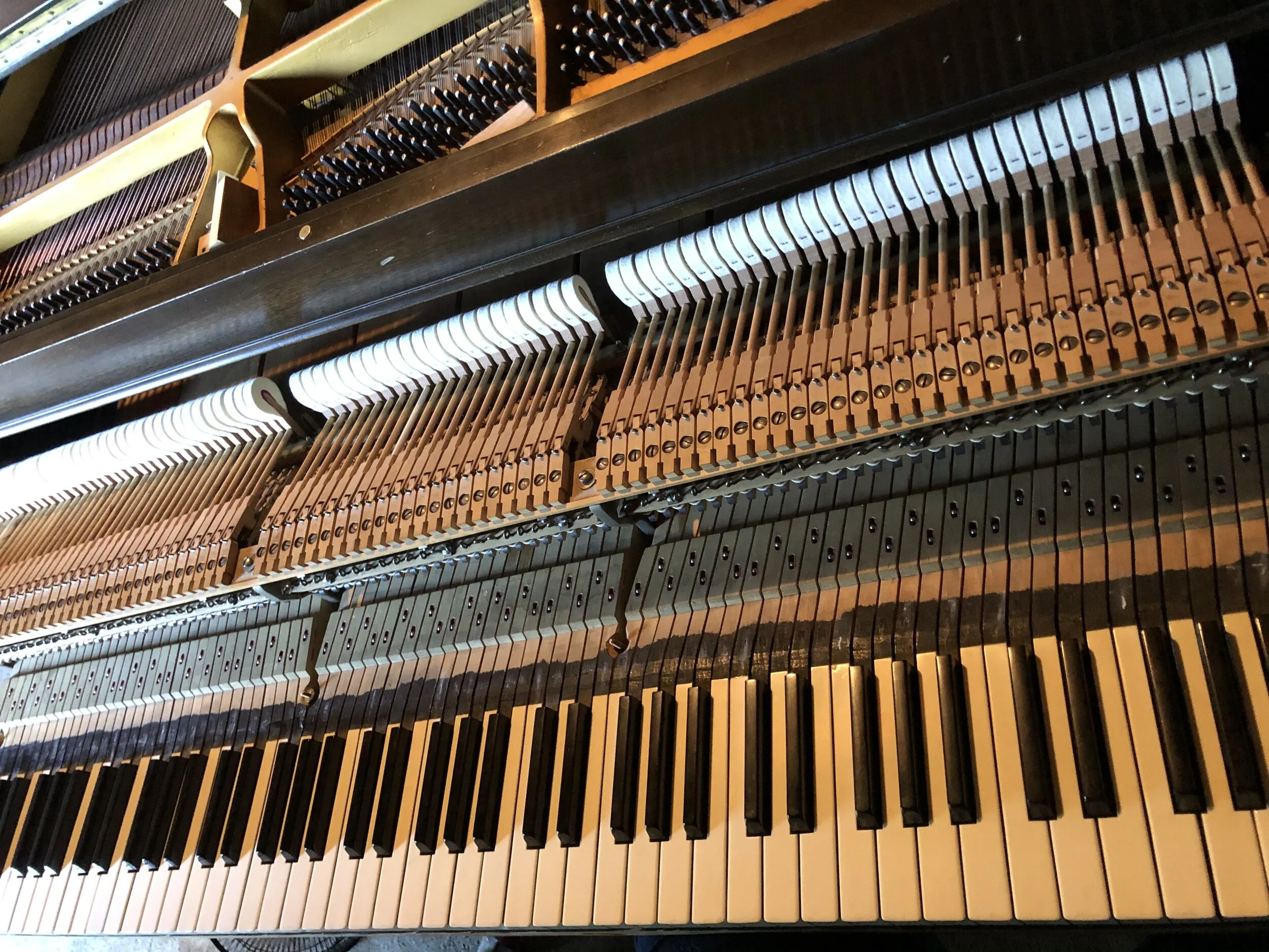 Bright new hammers bring a brilliance to this Lindemann & Sons grand that left our shop this summer, 2020.