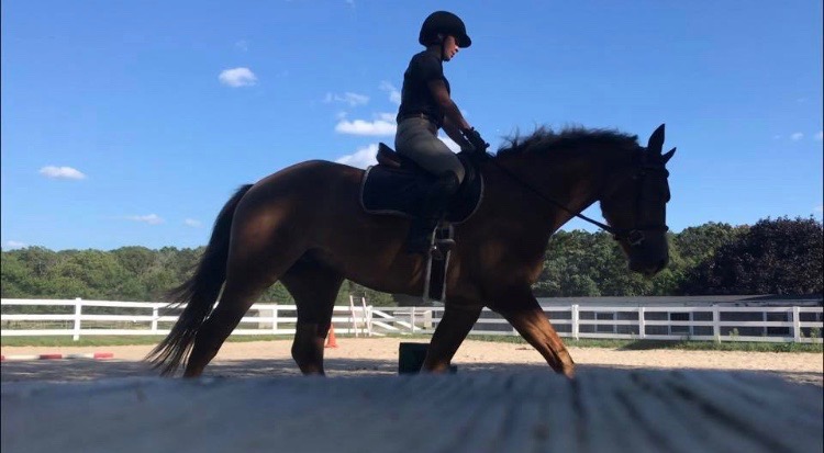 Taylor riding Fiori in Frame.jpeg