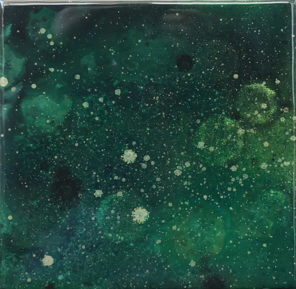 STAR GAZER