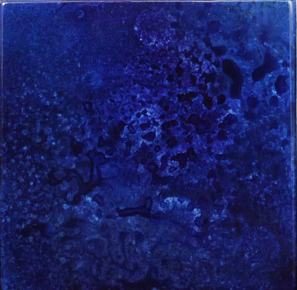 SYMBIOSIS