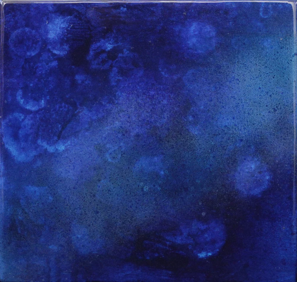 PARASITISM