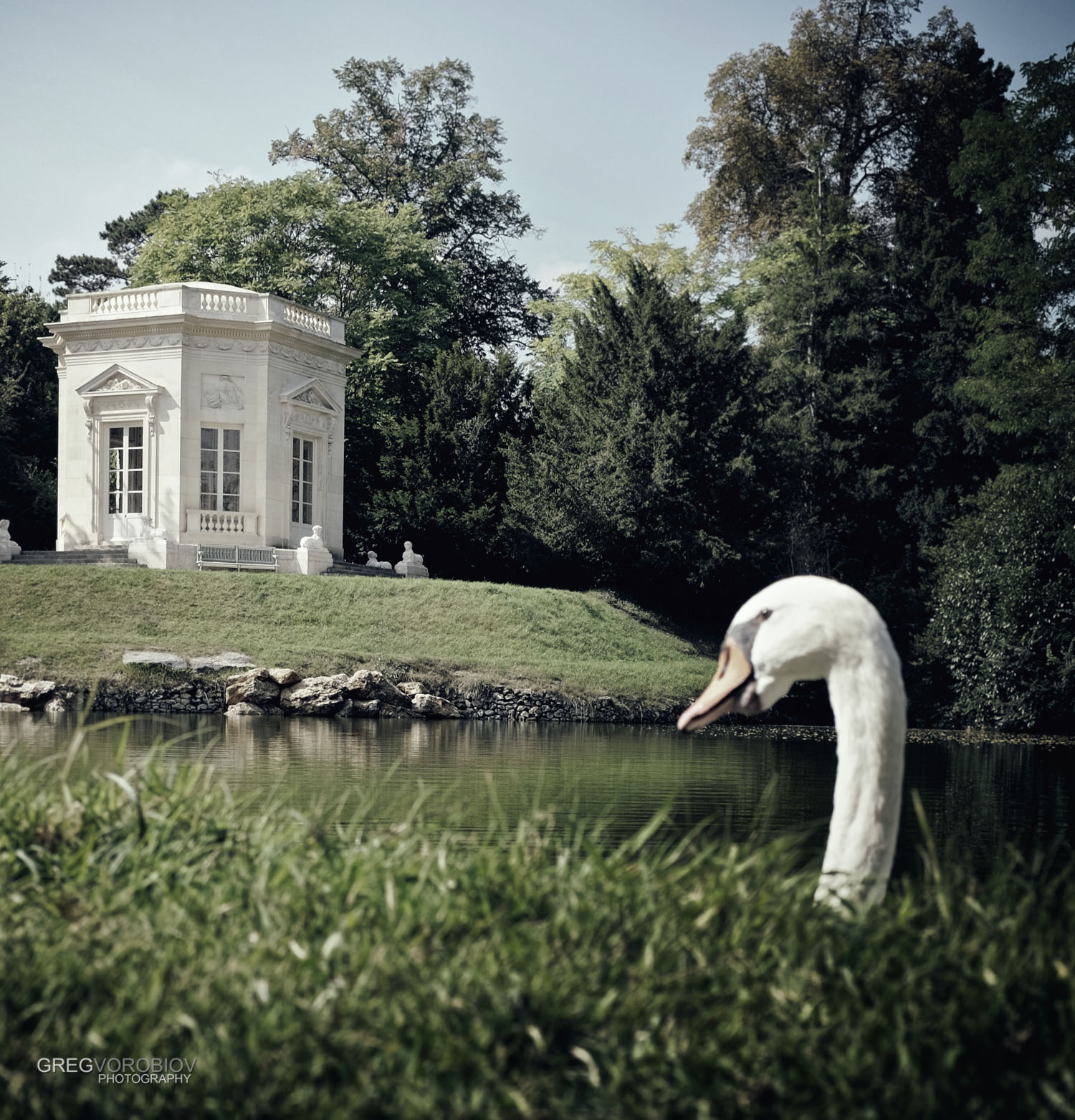 swan_palace_of_versailles_france_by_greg_vorobiov-1.jpg