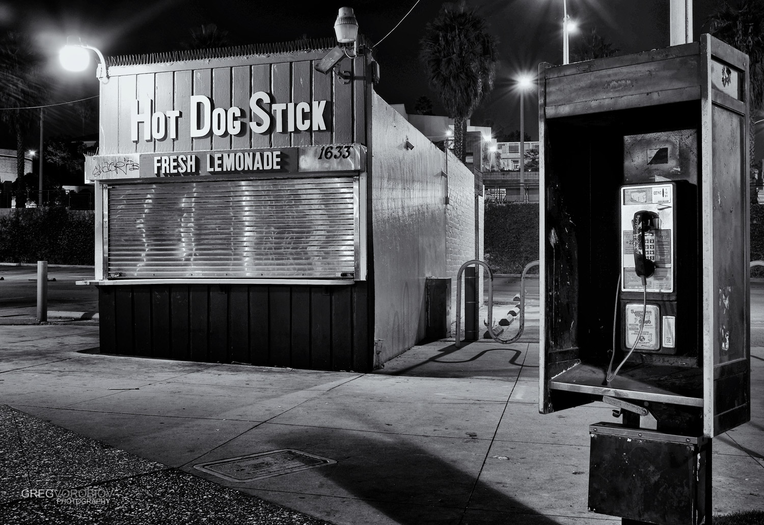 santa_monica_pier_by_greg_vorobiov-2-2.jpg