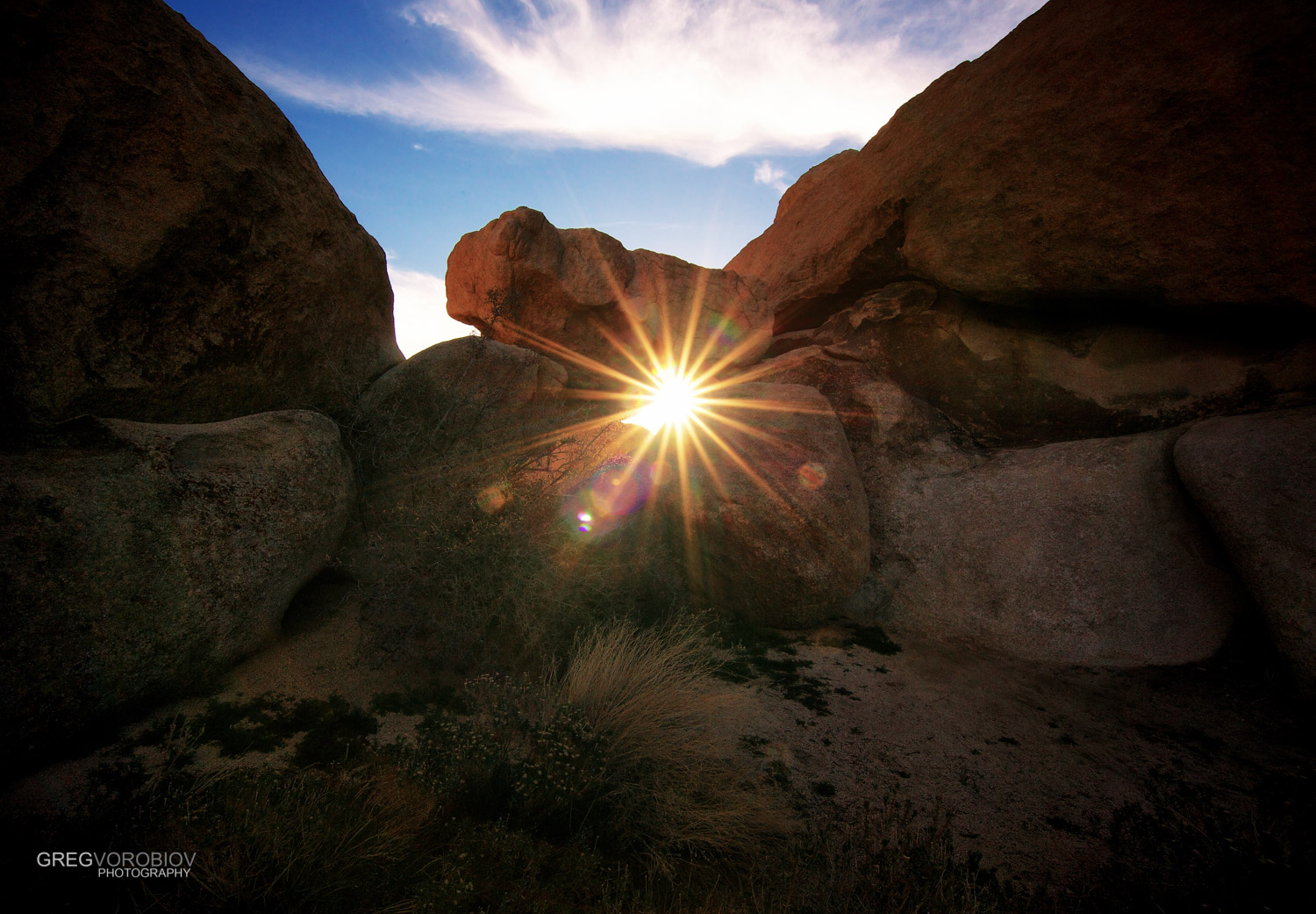 joshua_tree_by_greg_vorobiov-6.jpg