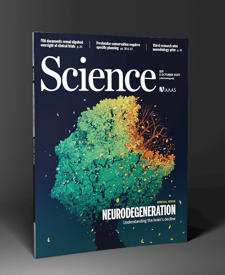Neurodegeneration.jpg