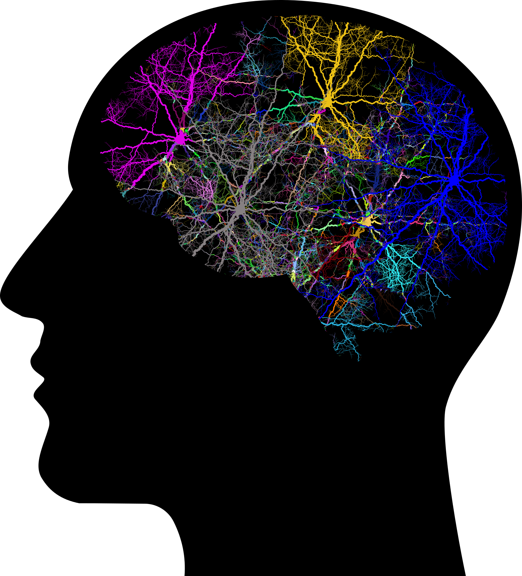 cranium-3244118.png