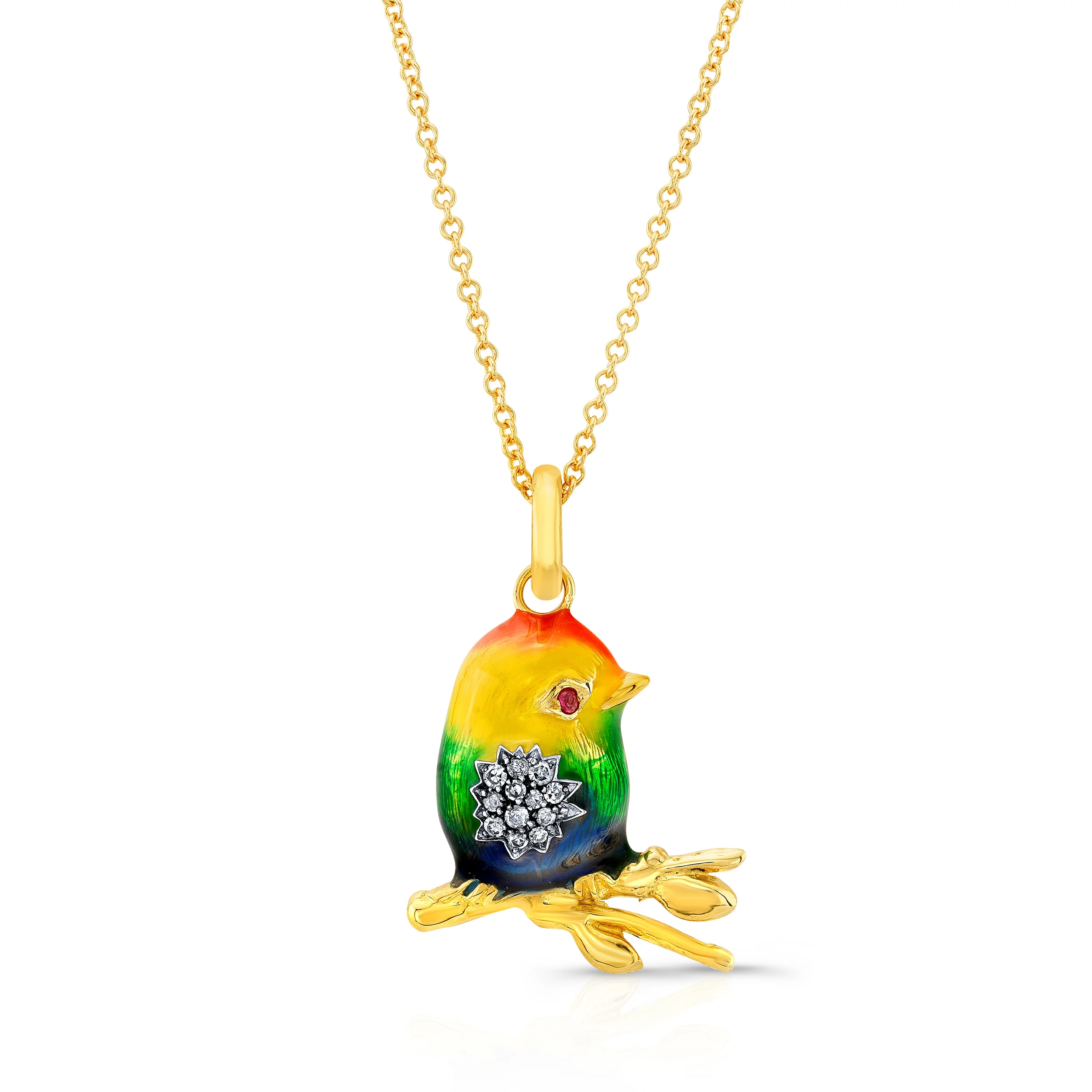 Rainbow Baby Bird