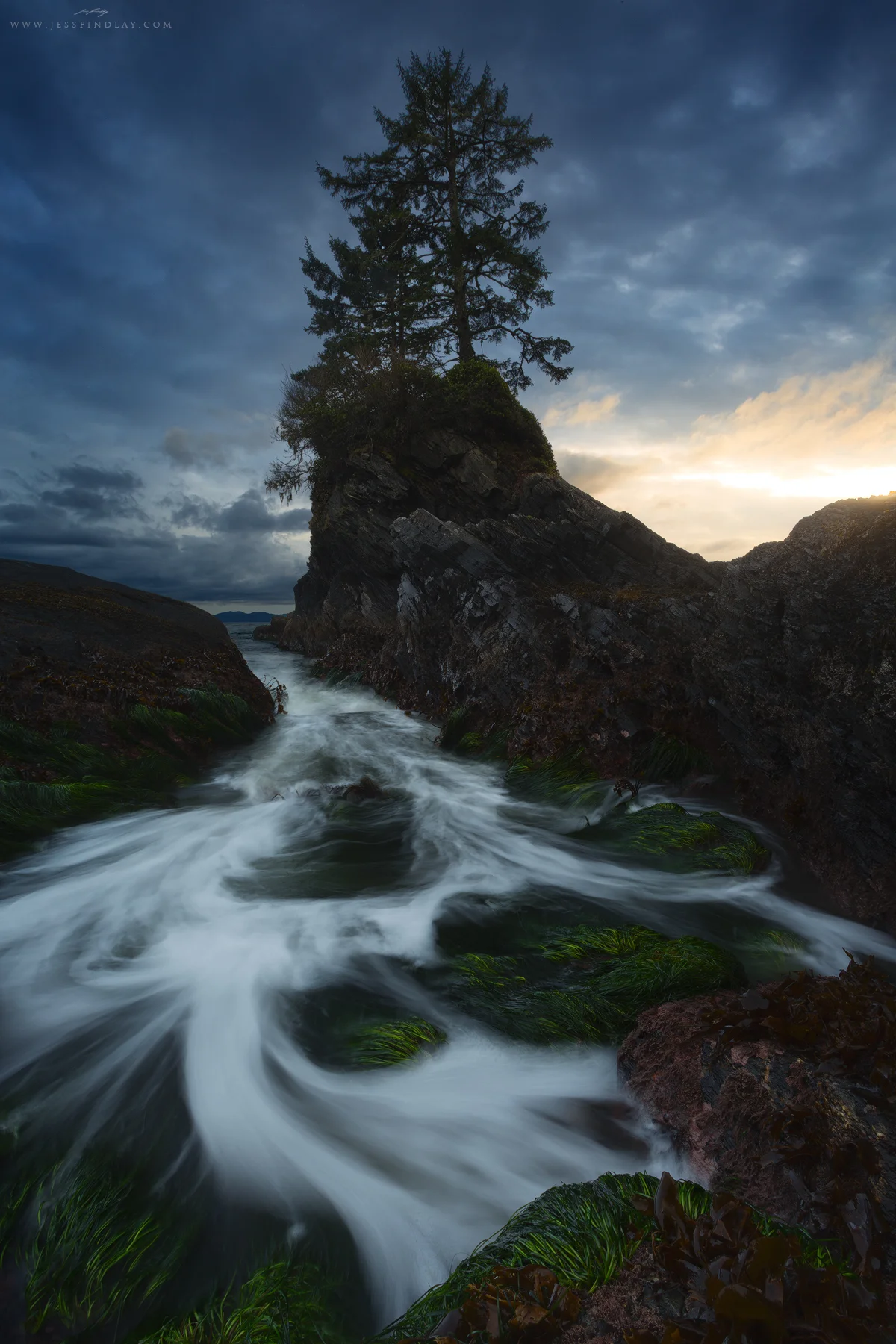 Test Of Time Vancouver Island, British Columbia, Canada Sitka spruce trees grow atop an interesting rock formation along the storm-battered west coast of British Columbia's Vancouver Island. I sat in this location for a few hours one late winter evening, hoping the sun would break through the thick clouds. Just before sunset, as the tide was at its best, the sun briefly snuck through and lit up the southwestern sky.