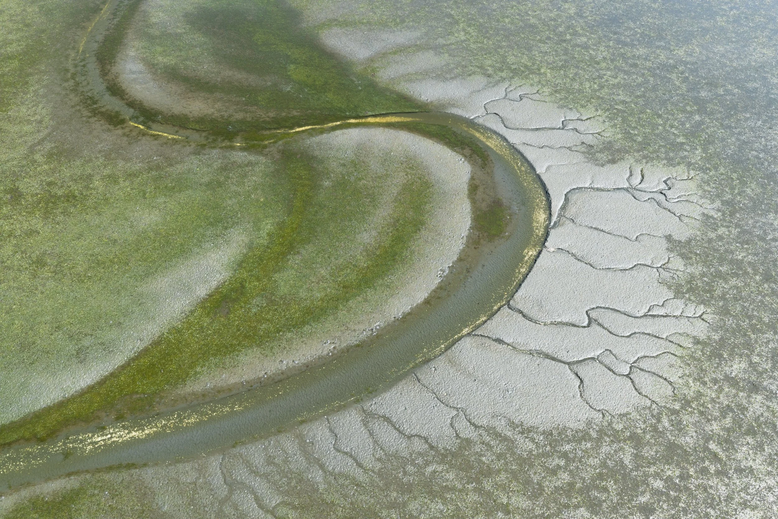Estuary 2
