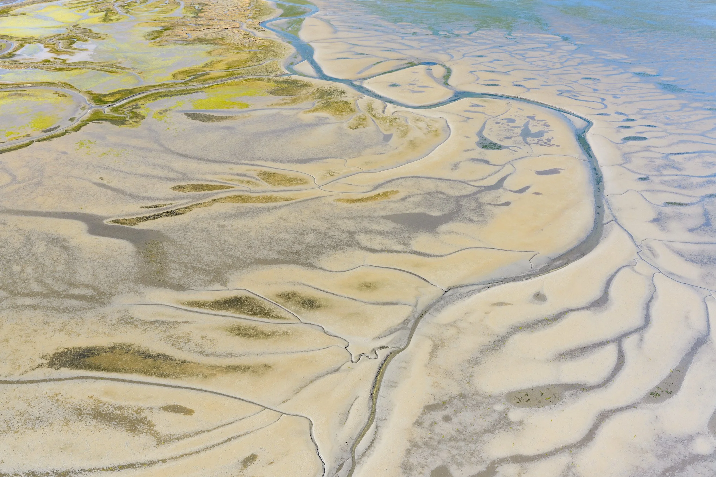 Estuary