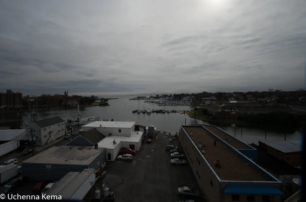 DSC08167.jpg