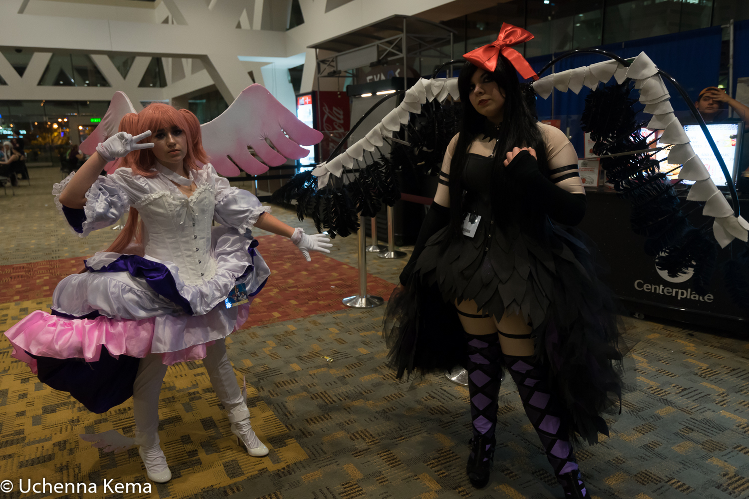 DSC03217.jpg
