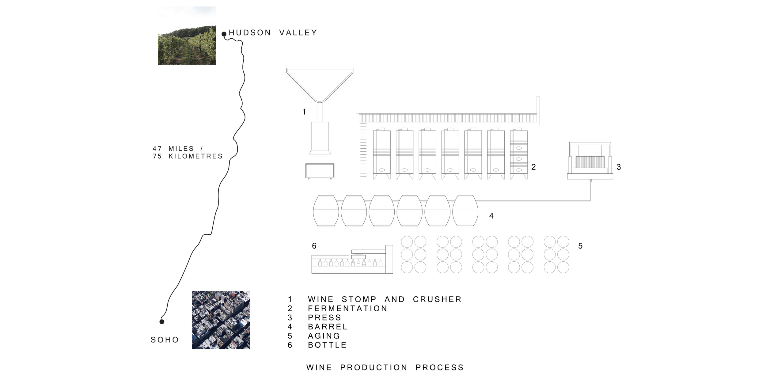 Wine-Production-Process.jpg