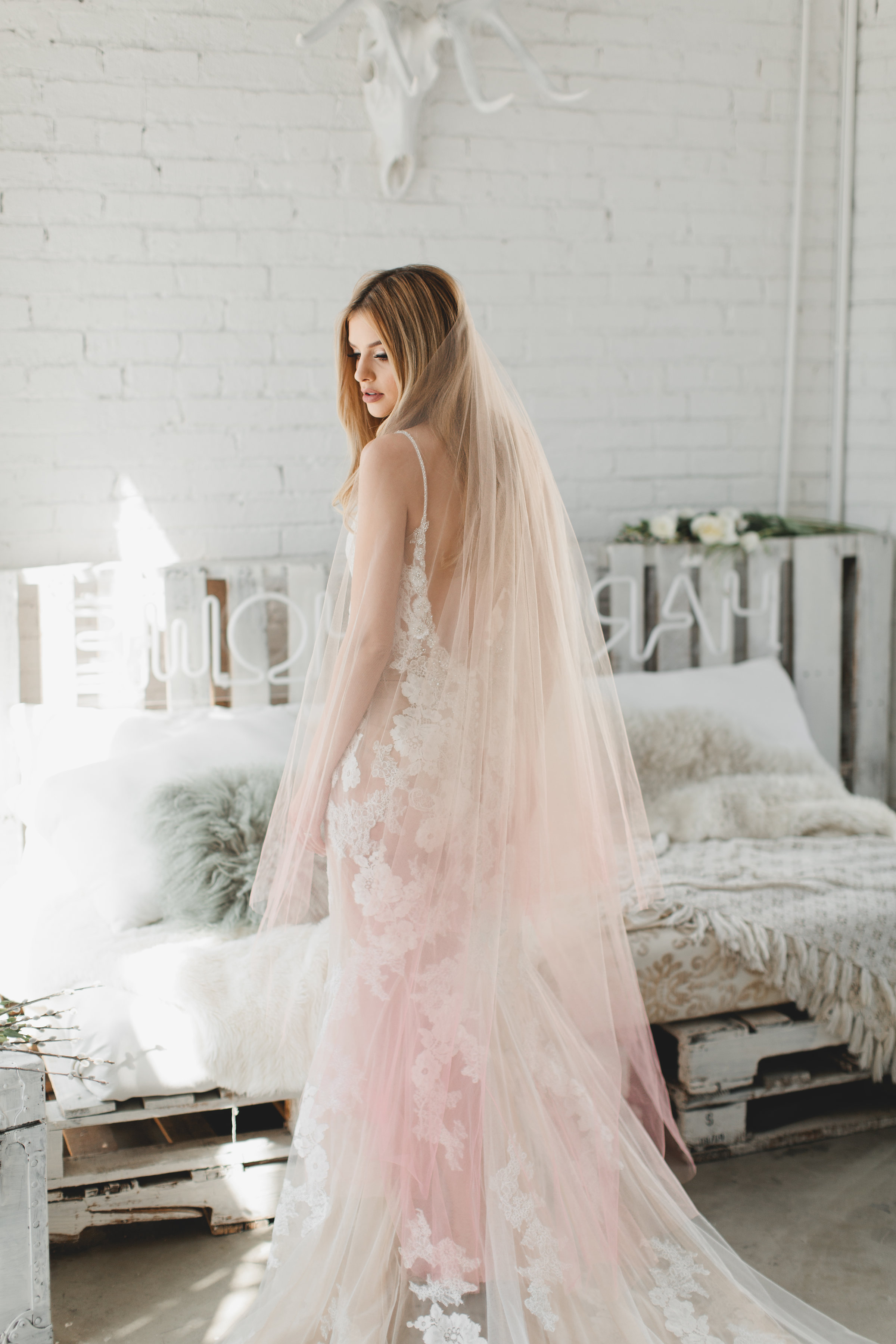 Pink Ombre Drop Veil #1726