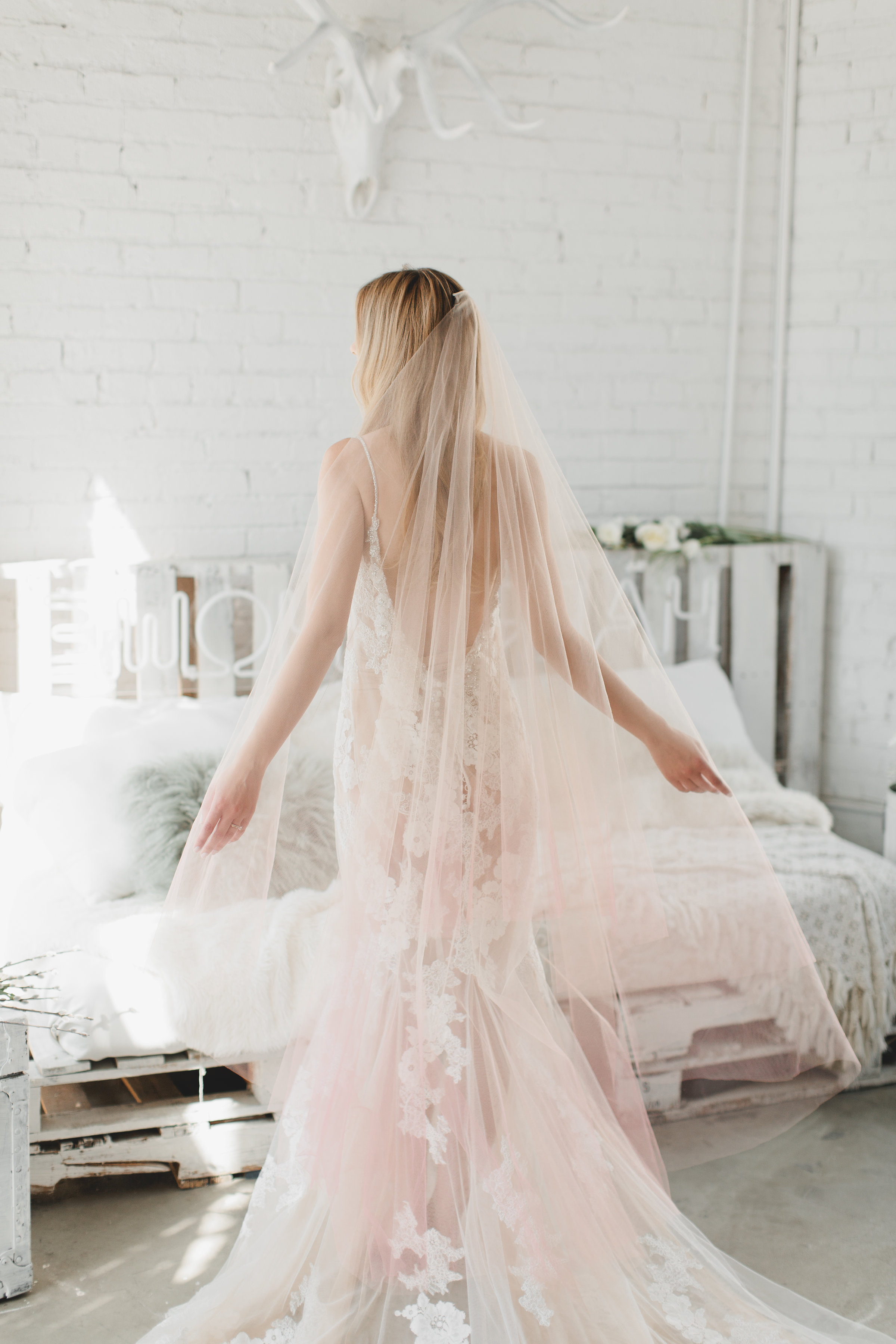 Pink Ombre Drop Veil #1726