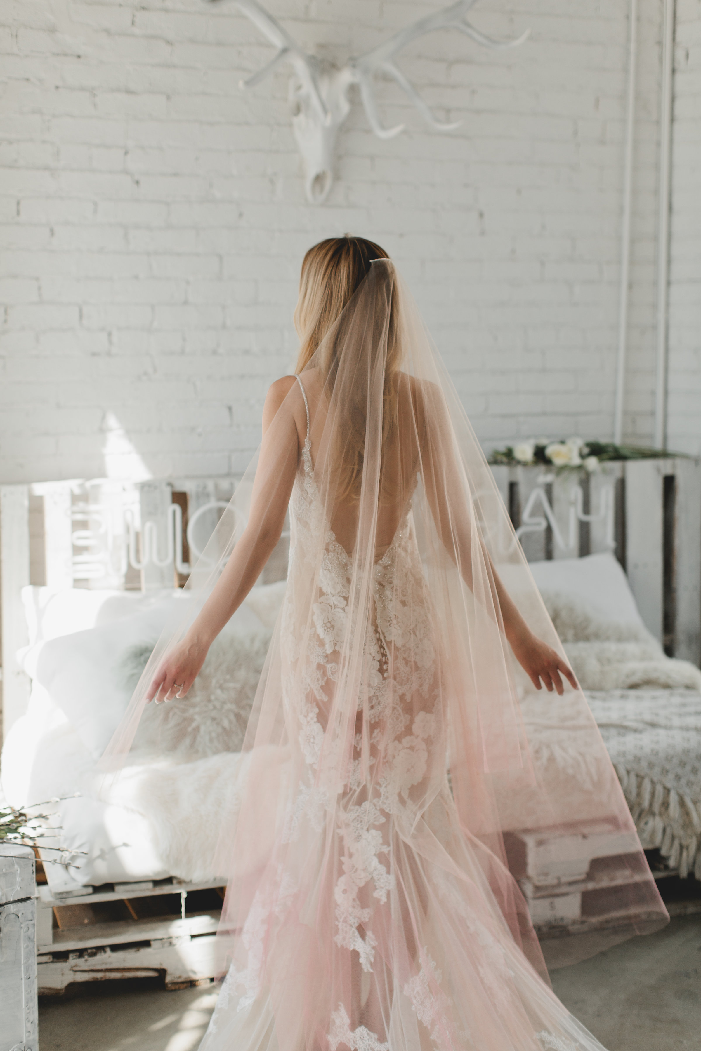 Pink Ombre Drop Veil #1726