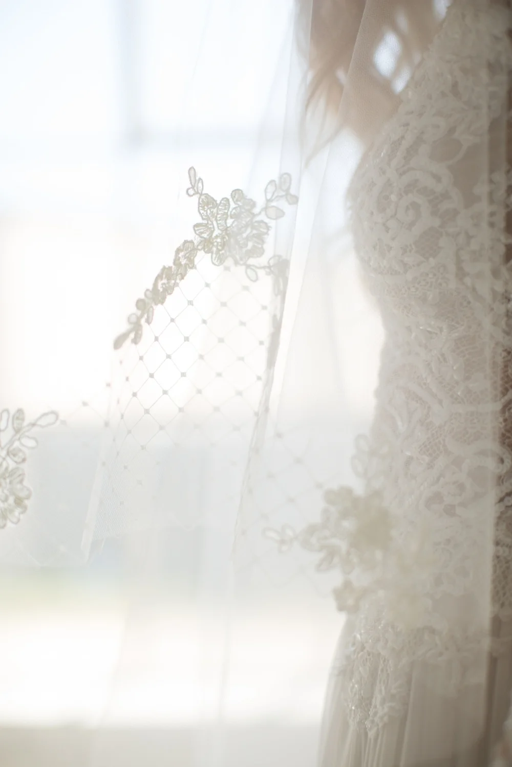 Lace and Russian Net Adorned Drop Veil #1738