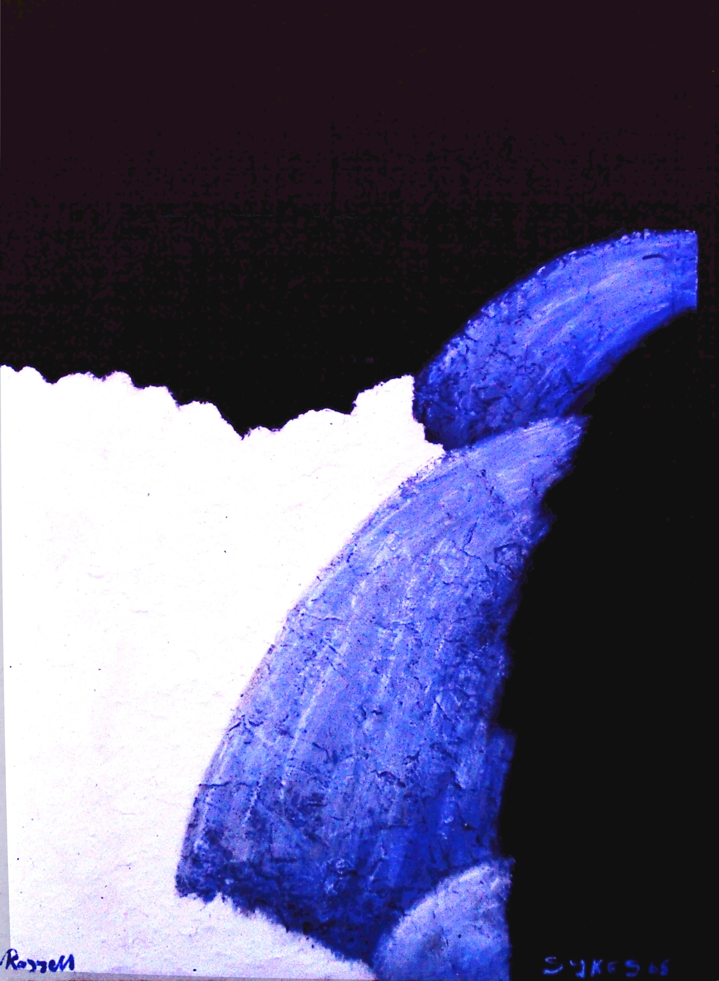 Untitled 1965