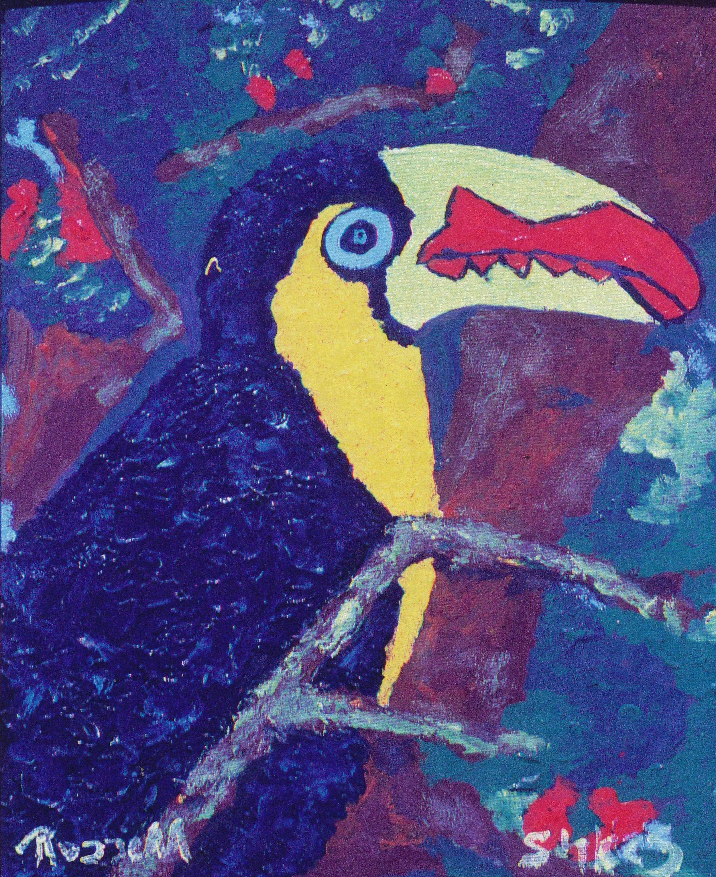 My Toucan 1990