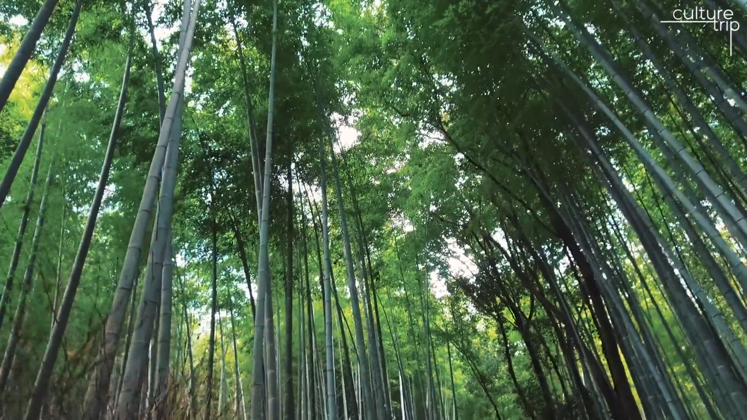 arashiyama.jpg