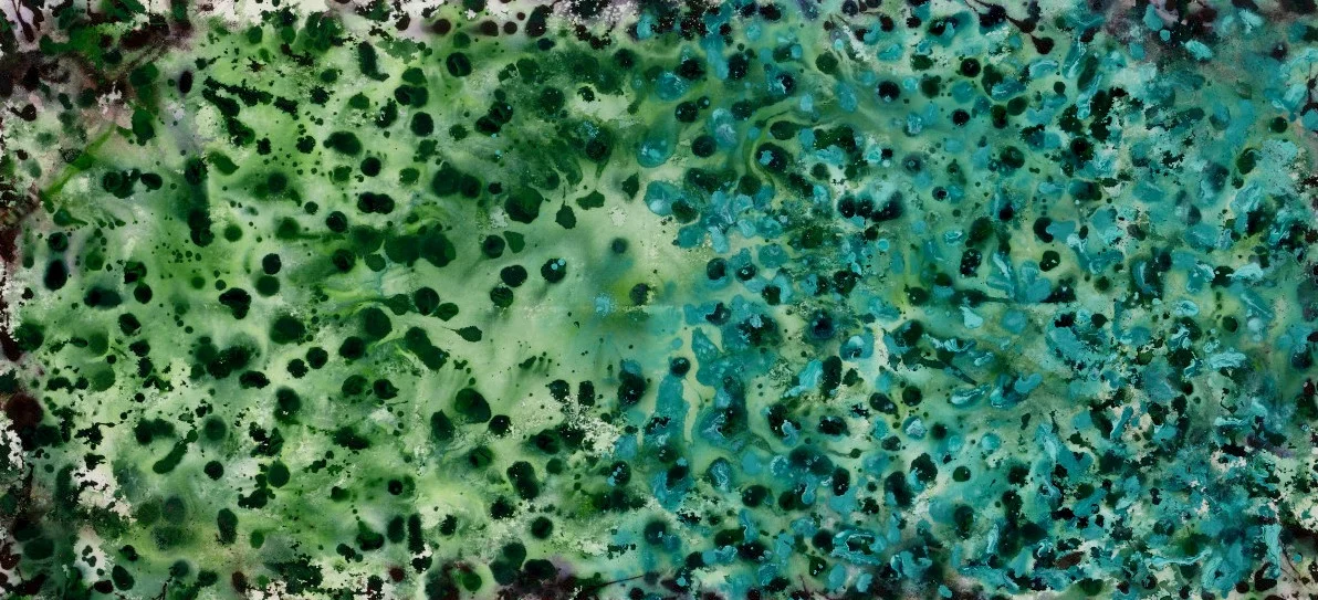 Burkhardt EARTH ART Languid Lagoon.JPG