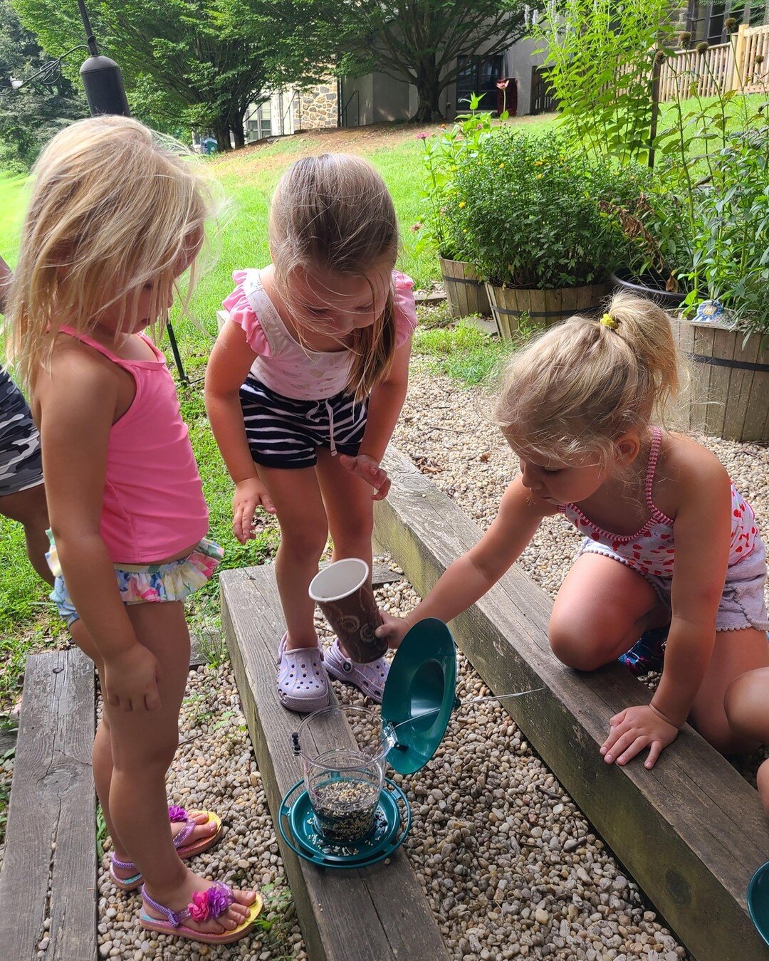 It's Bird Watching week at camp.  The children are filling bird feeders and will be observing the birds on the CCEP campus all week.

Chasing Curiosity.  Discovering Friendship.  Sparking Joy.
#cceprams #chasingcuriosity