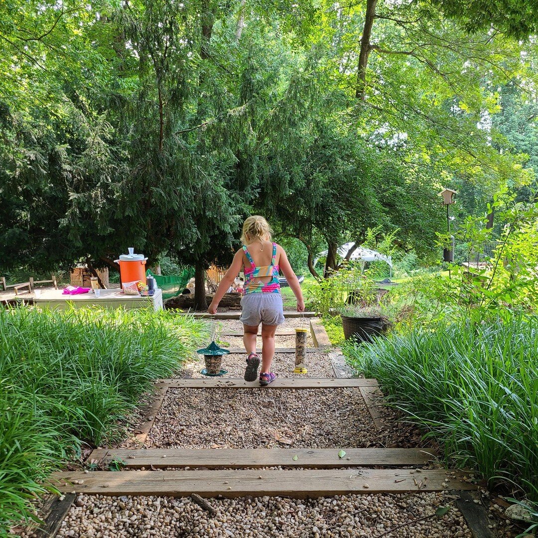 Hanging up the bird feeders before she's leaves for the week.

Chasing Curiosity.  Discovering Friendship.  Sparking Joy.
#cceprams