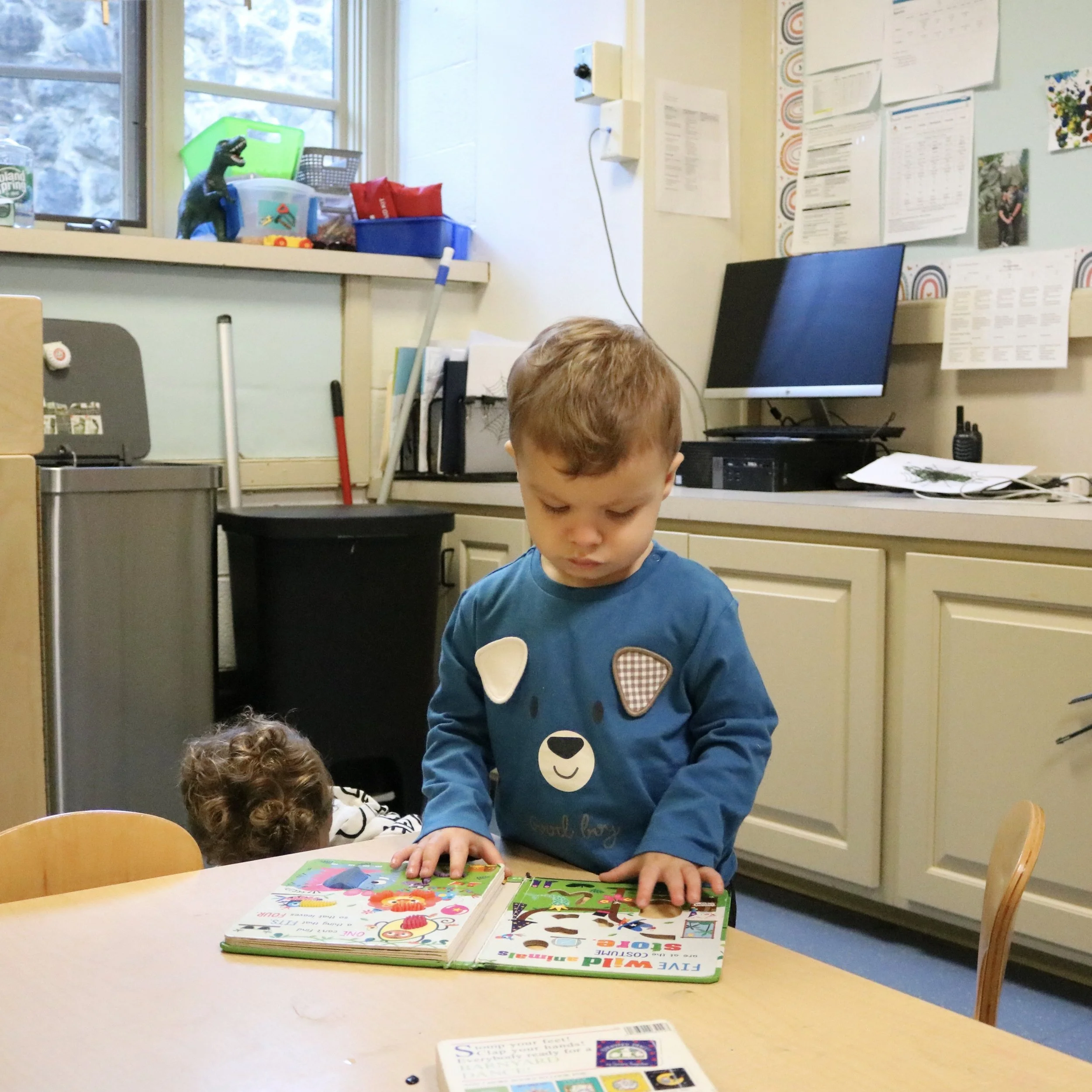 Curriculum