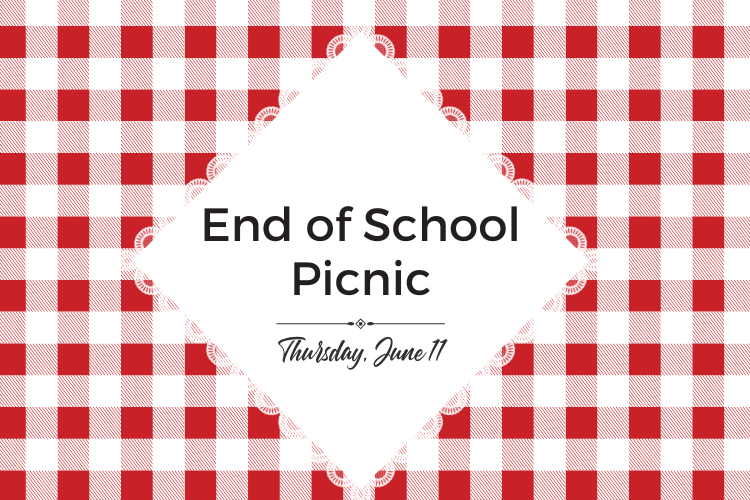 End of School Picnic