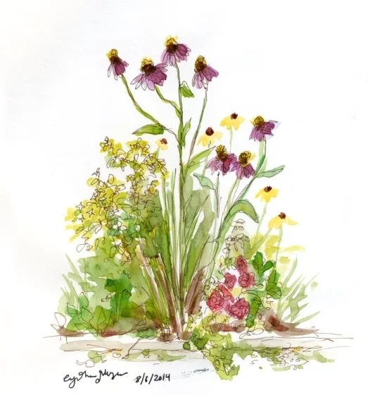 wildflowers.jpg