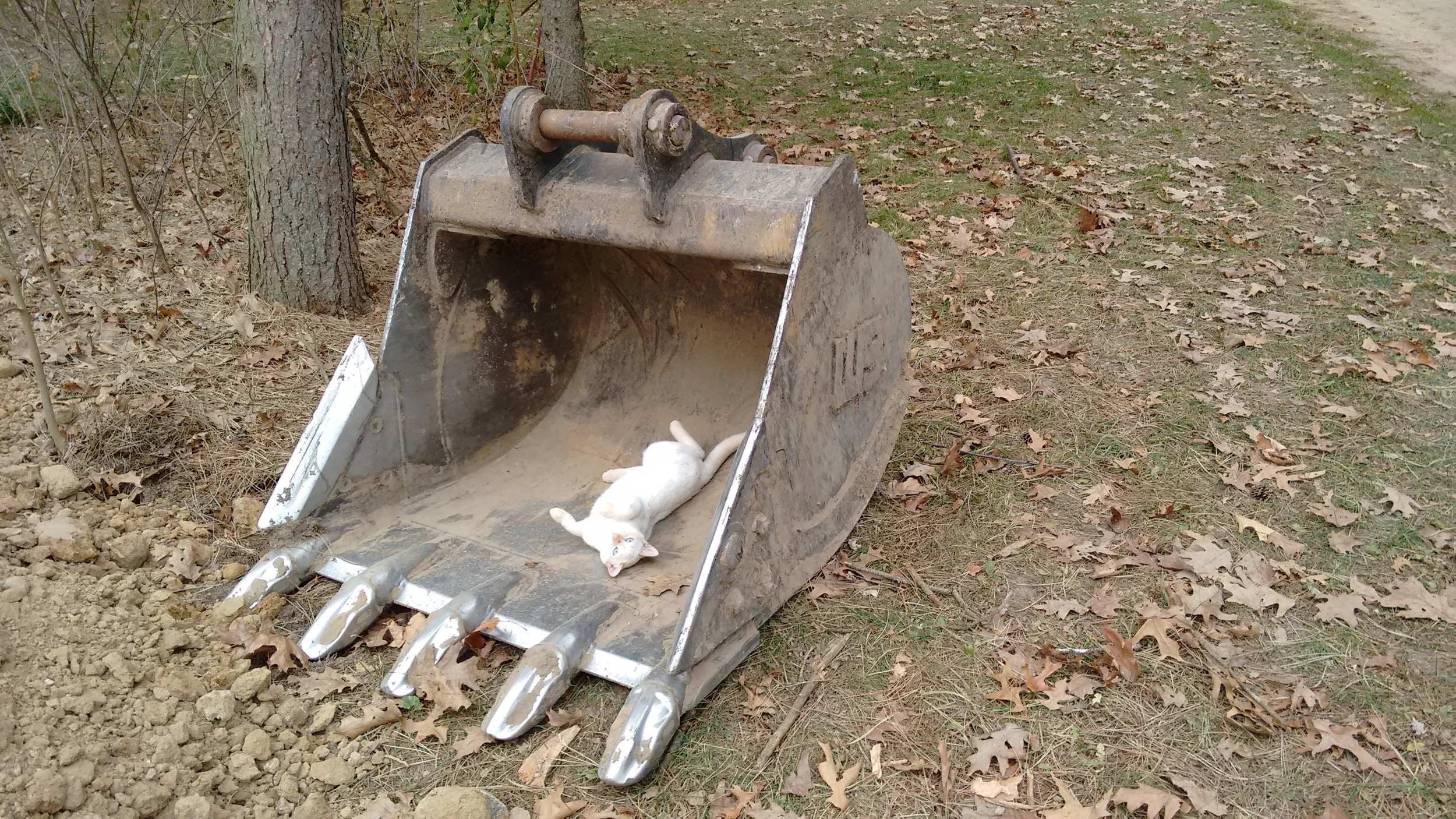 Contruction Blog First Post