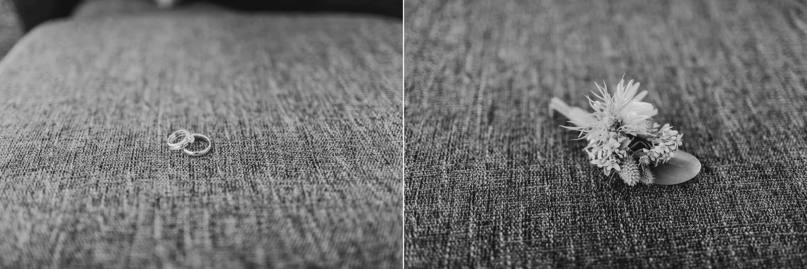 Stitched 1.jpg