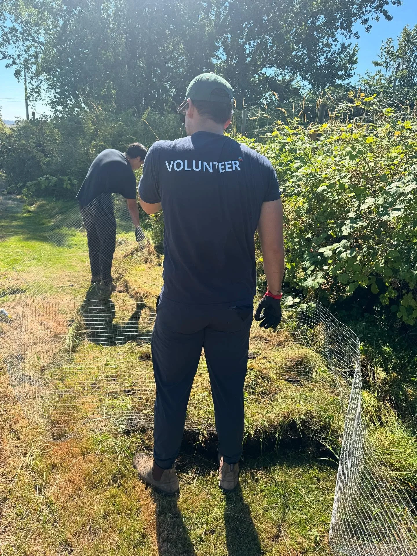 Call for Volunteers! Harvest Season is here! Newman Farm is looking for enthusiastic volunteers to help us harvest fresh produce for local charities. Volunteer hours for harvest are on Mondays and Wednesdays, from 4 pm to 7pm. Bring your friends and 