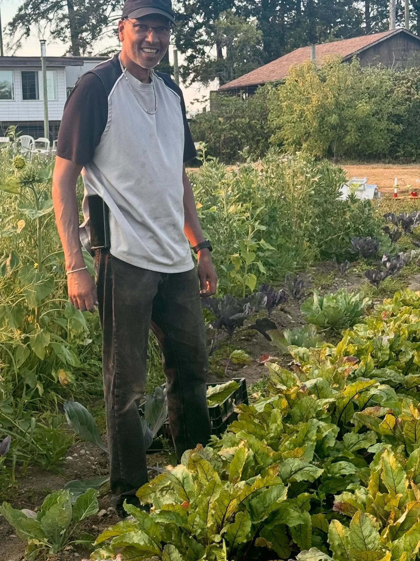 Call for volunteers! Join Ravi and other volunteers at Newman Farm to help us harvest fresh produce for local charities. Harvest hours are Mondays and Wednesdays, from 4pm to 8pm. Bring your family and friends! Help make a difference in your communit