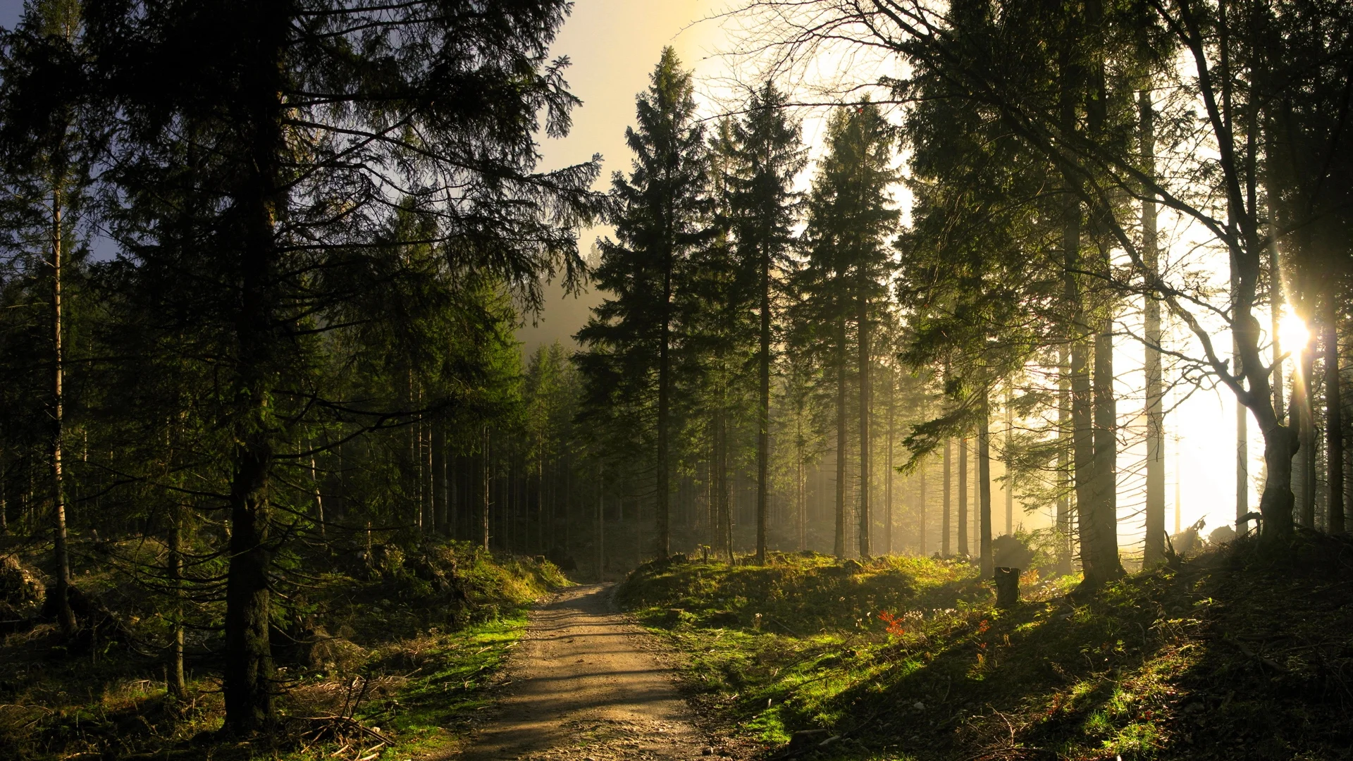 banner4.jpg