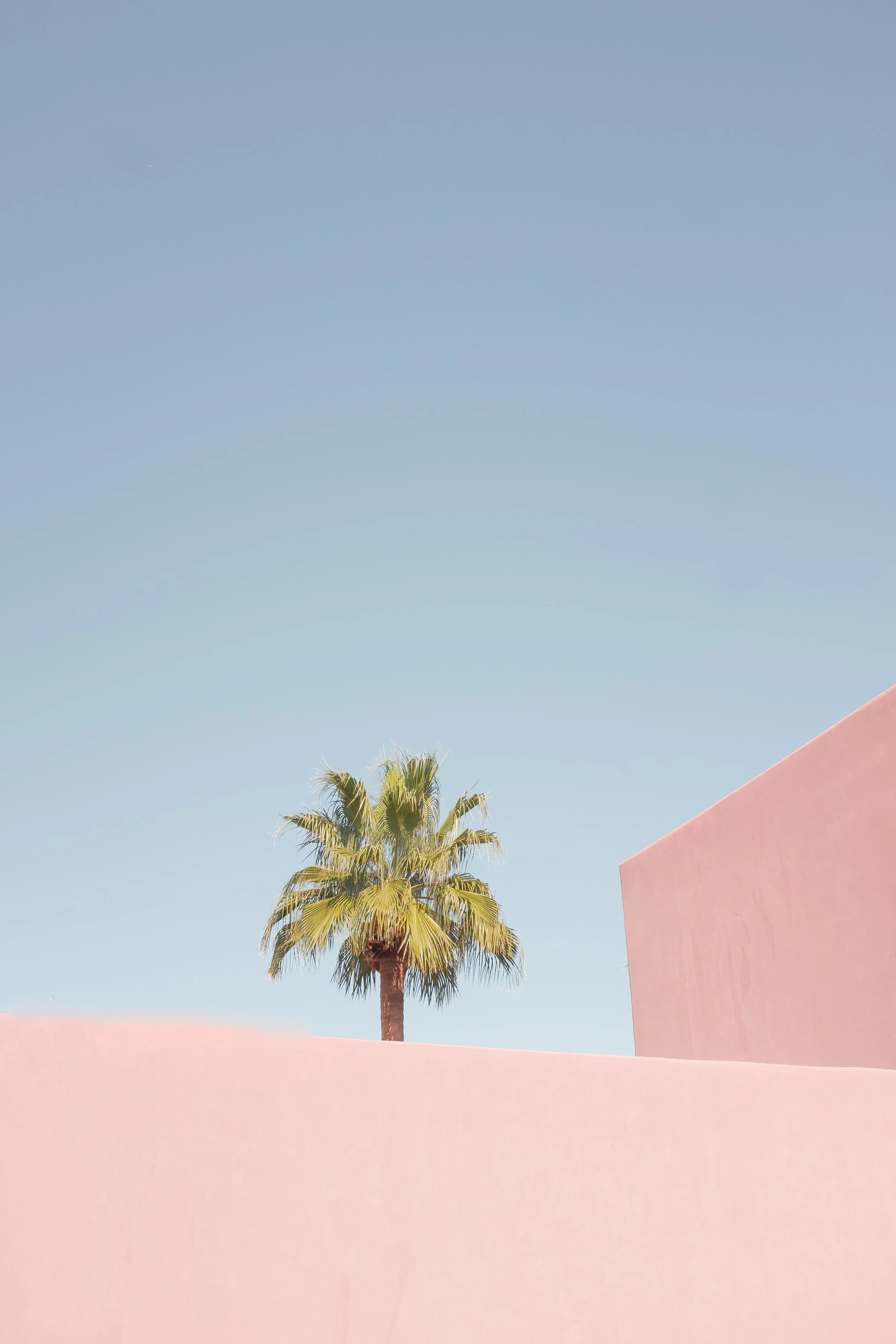 DSCF0434fgrty4.jpg