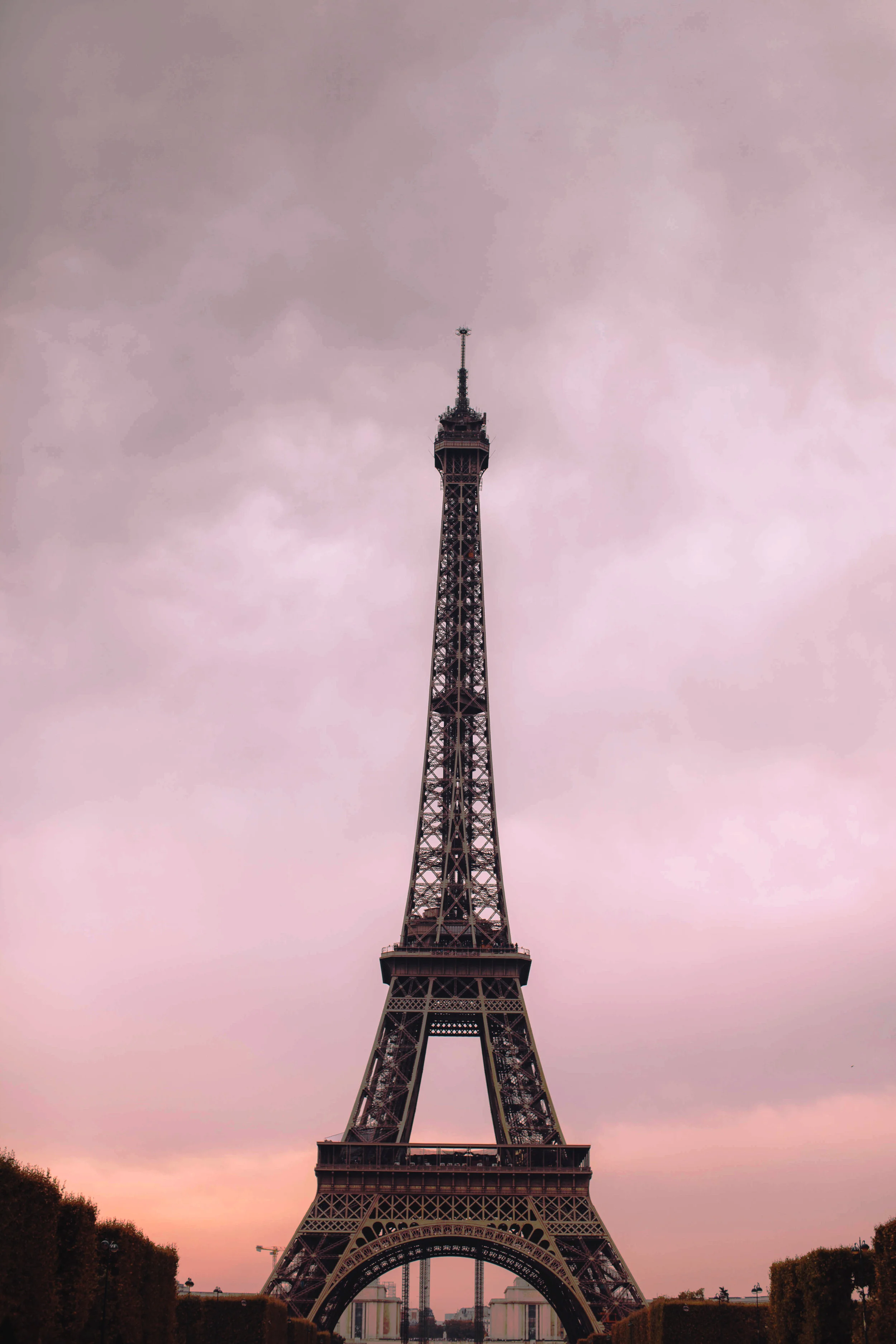 IMG_4513-2 copy.jpg