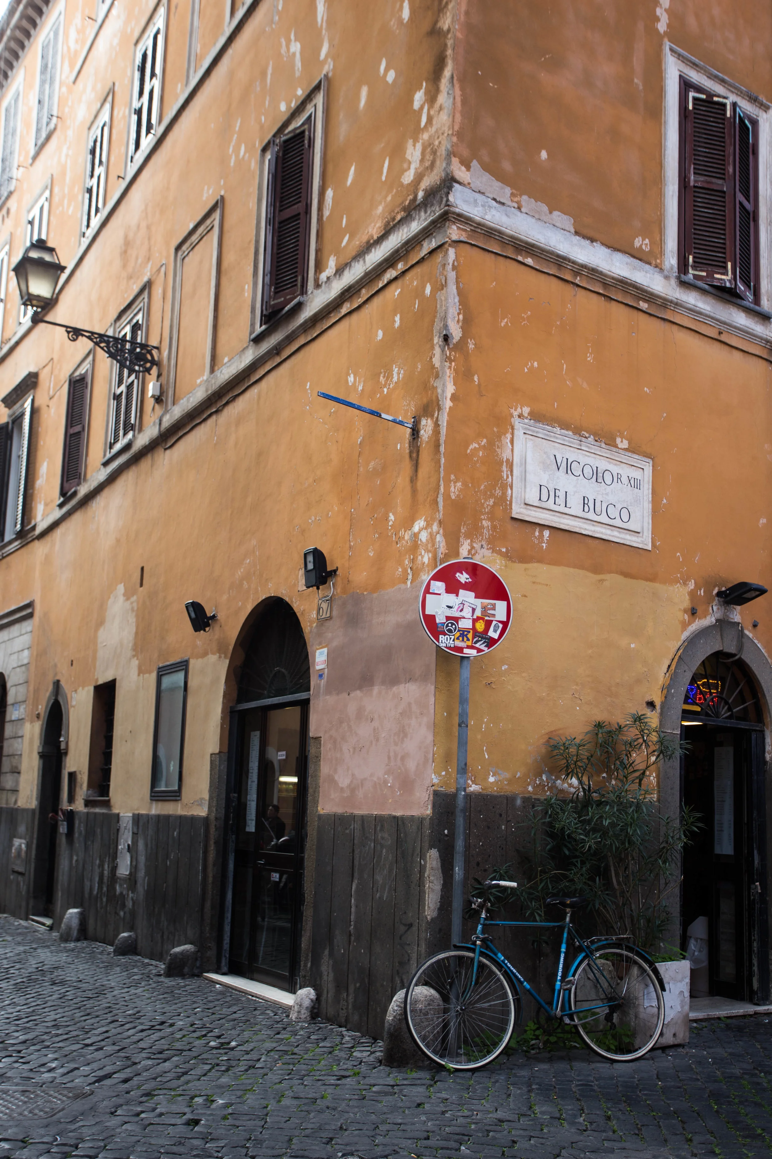 IMG_3235-2.jpg