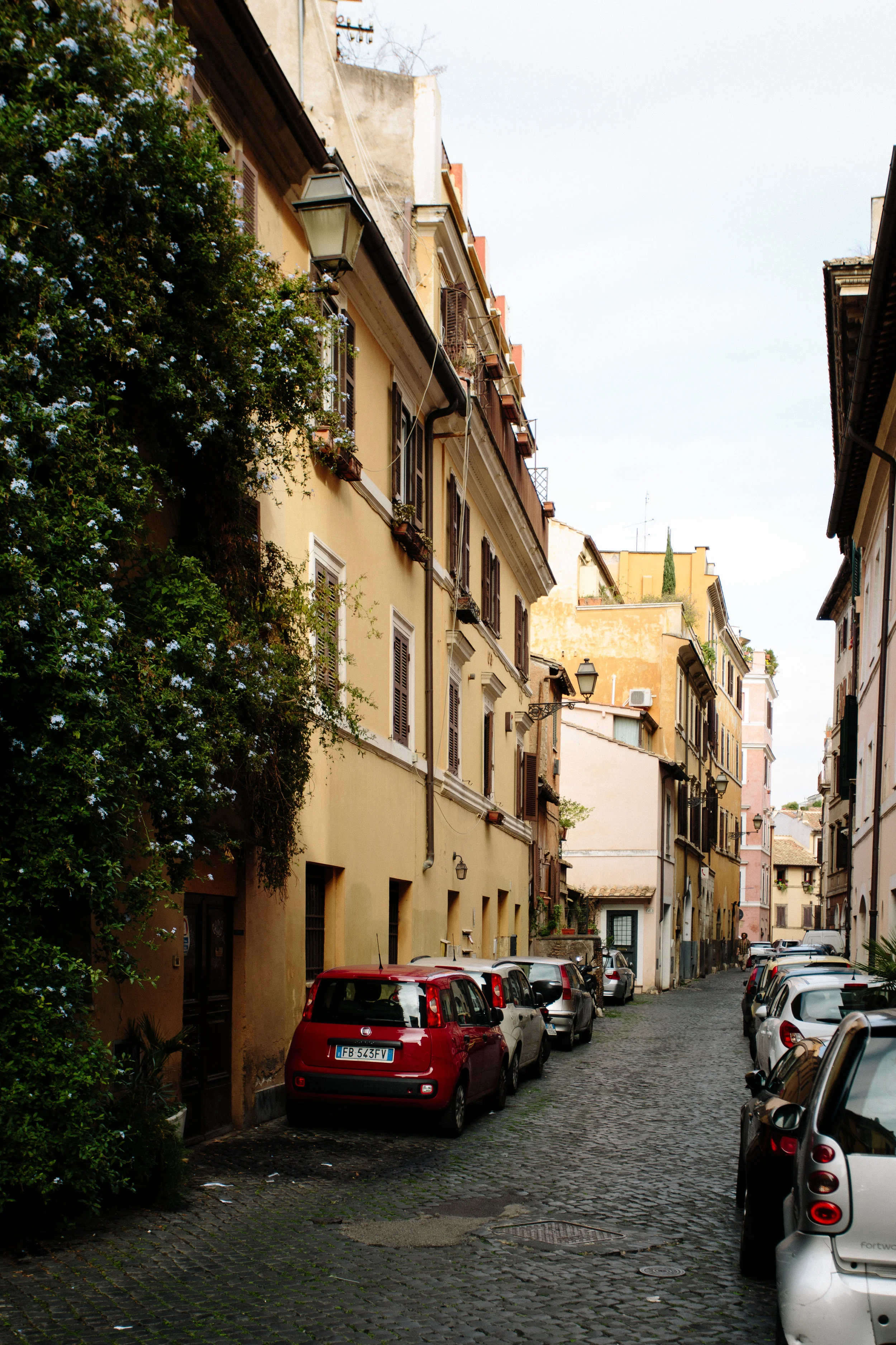IMG_3250-3.jpg