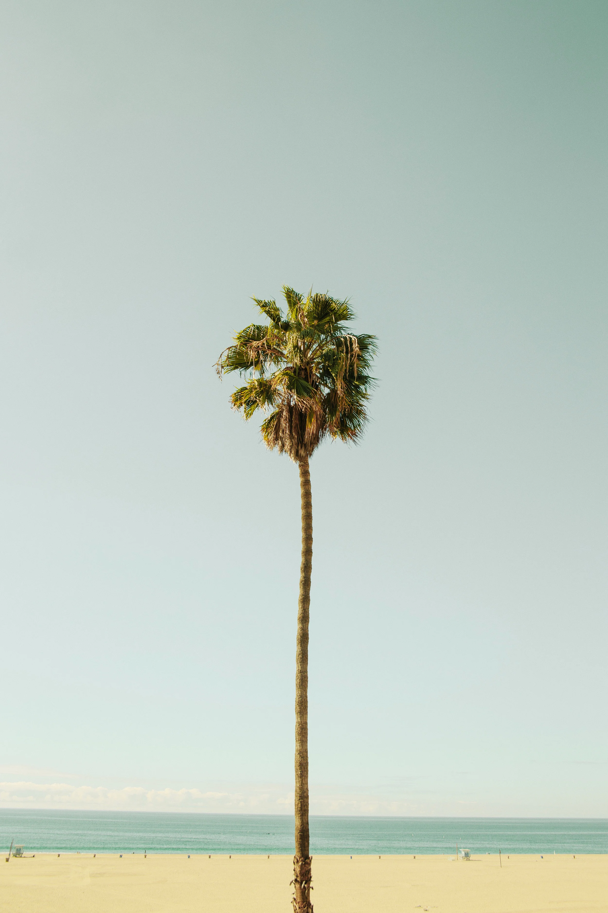 Venice Beach Part Two