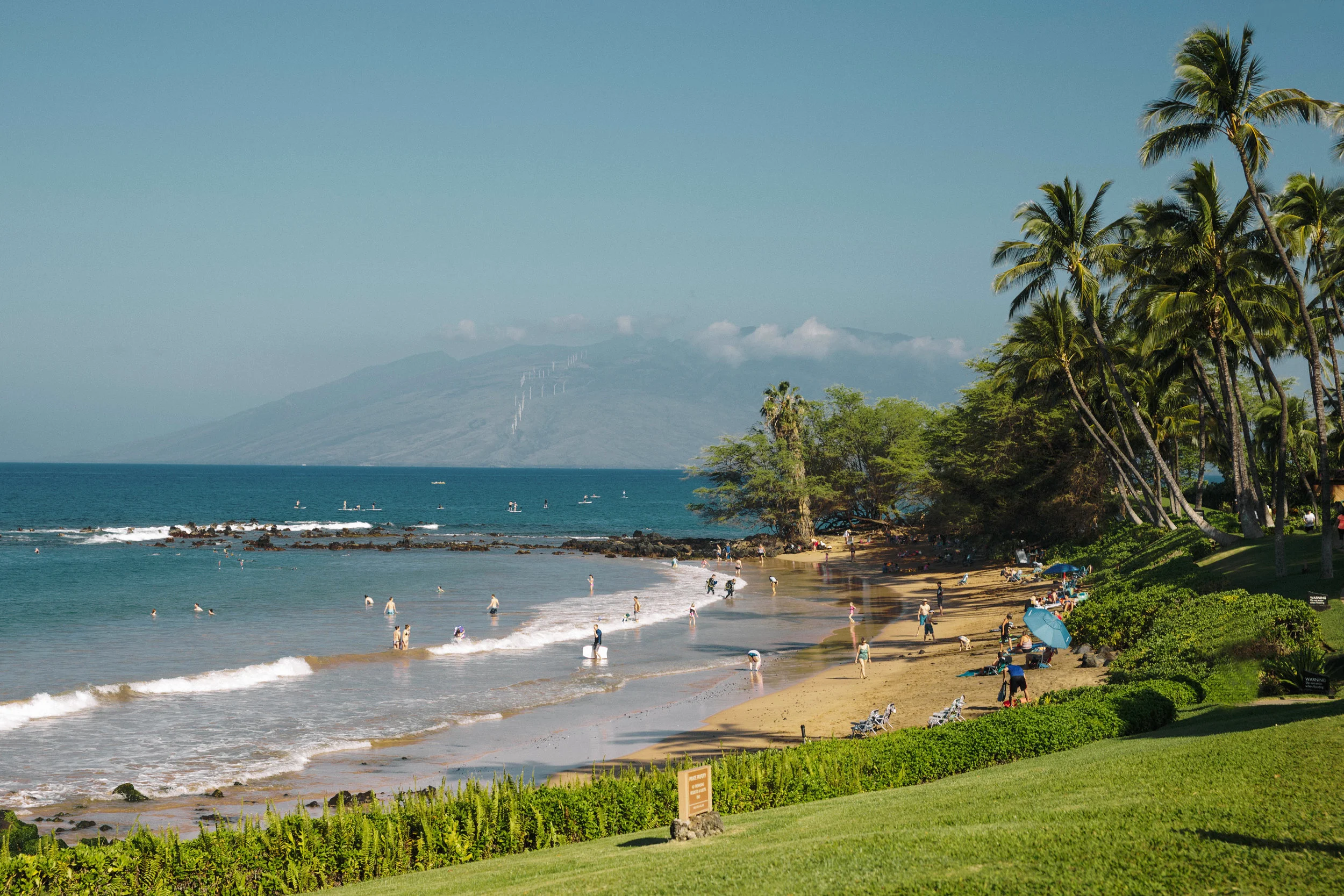 IMG_4450-30 copy.jpg