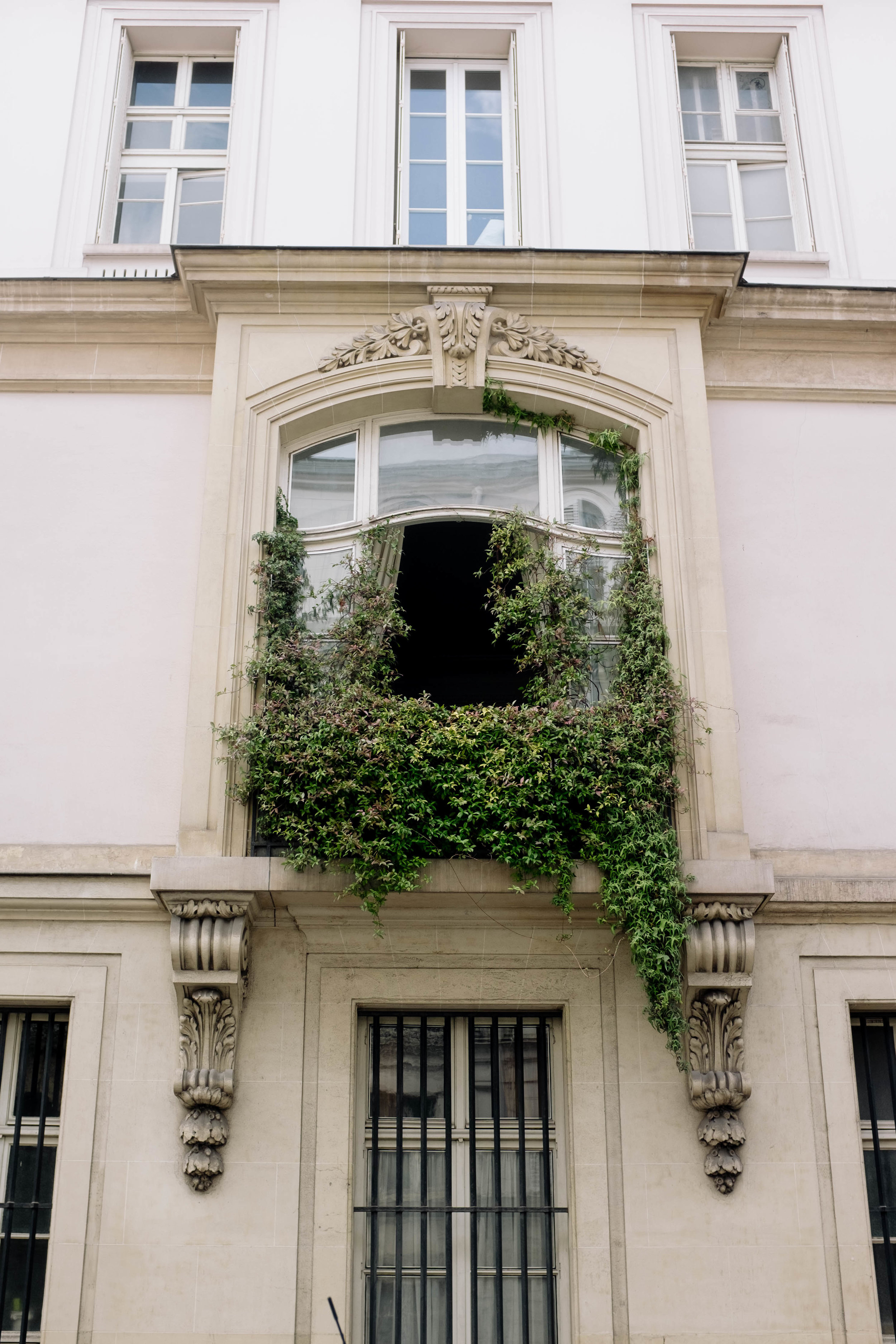 DSCF5587.jpg