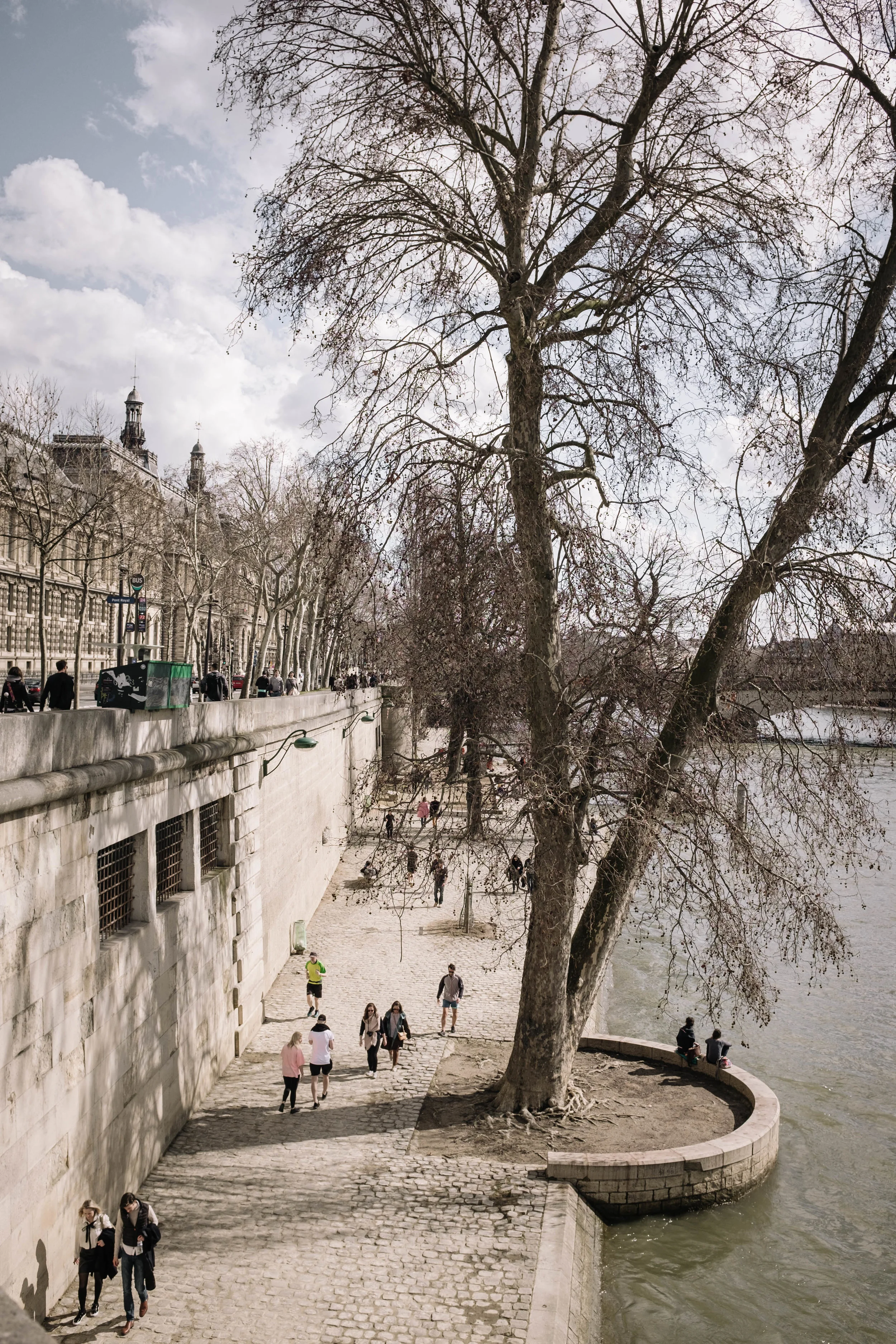 DSCF5581.jpg