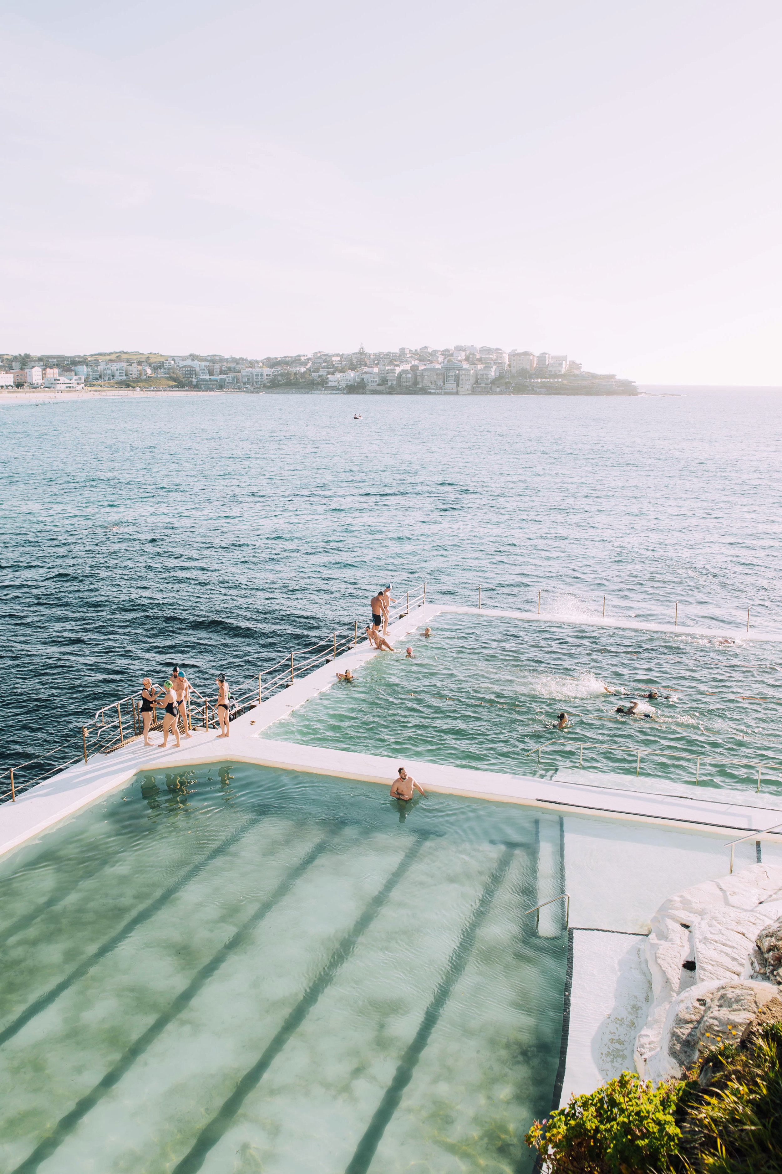 Bondi Icebergs