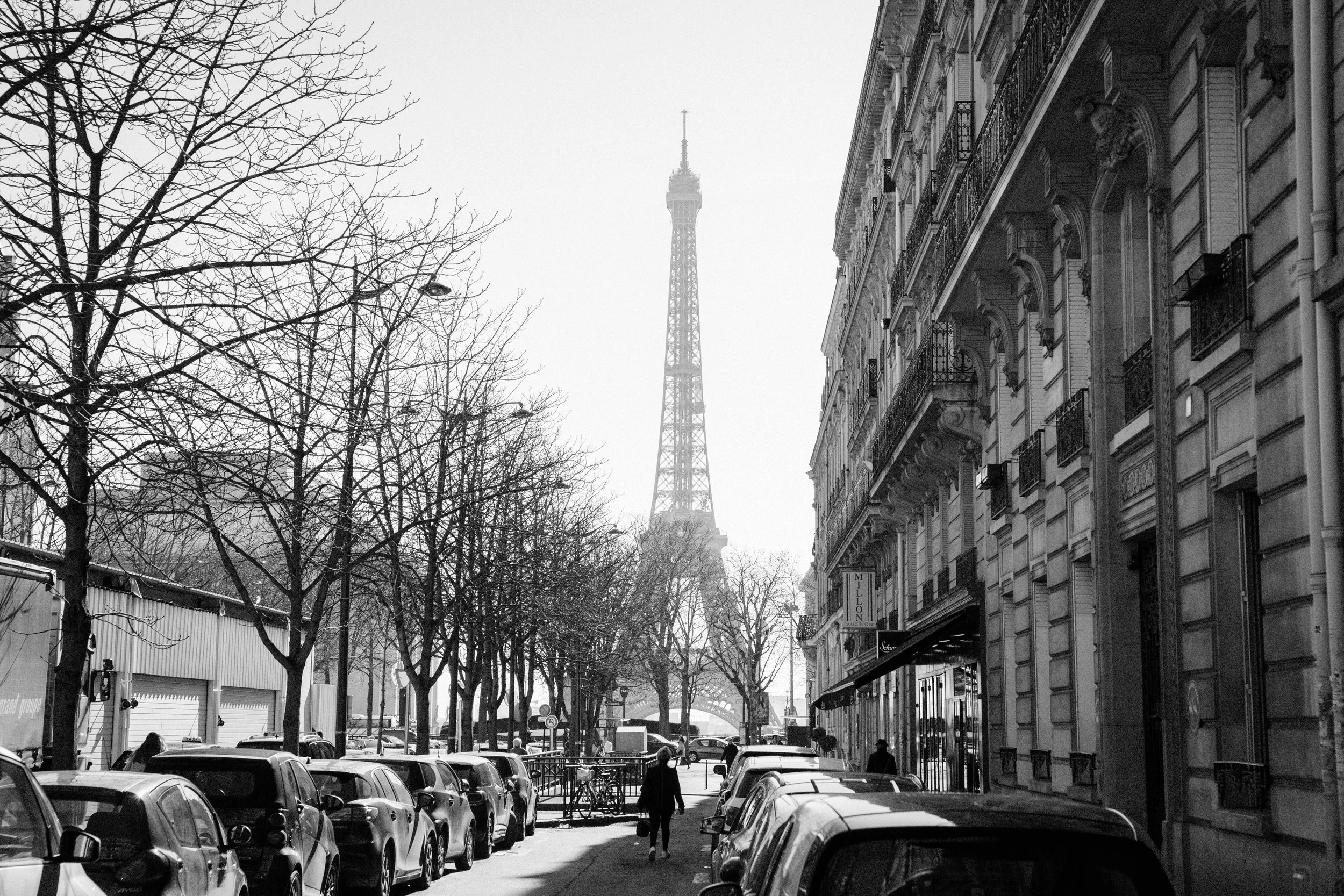 IMG_5855 copy.jpg