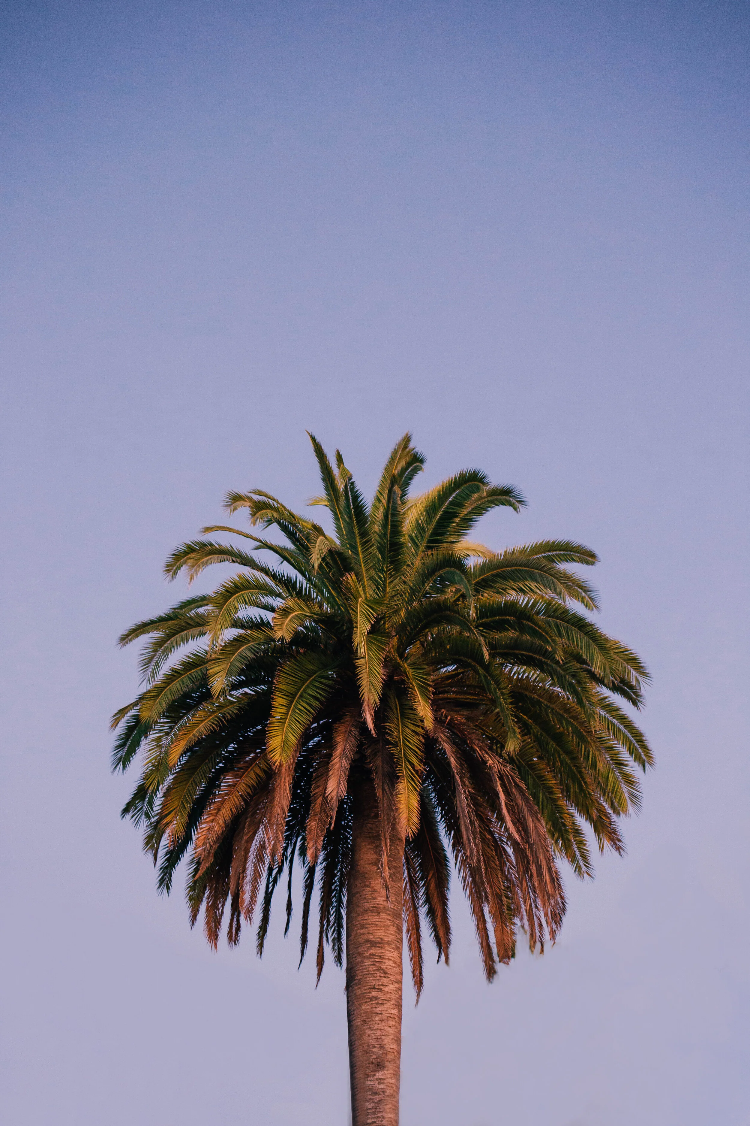 IMG_9496 copy copy.jpg